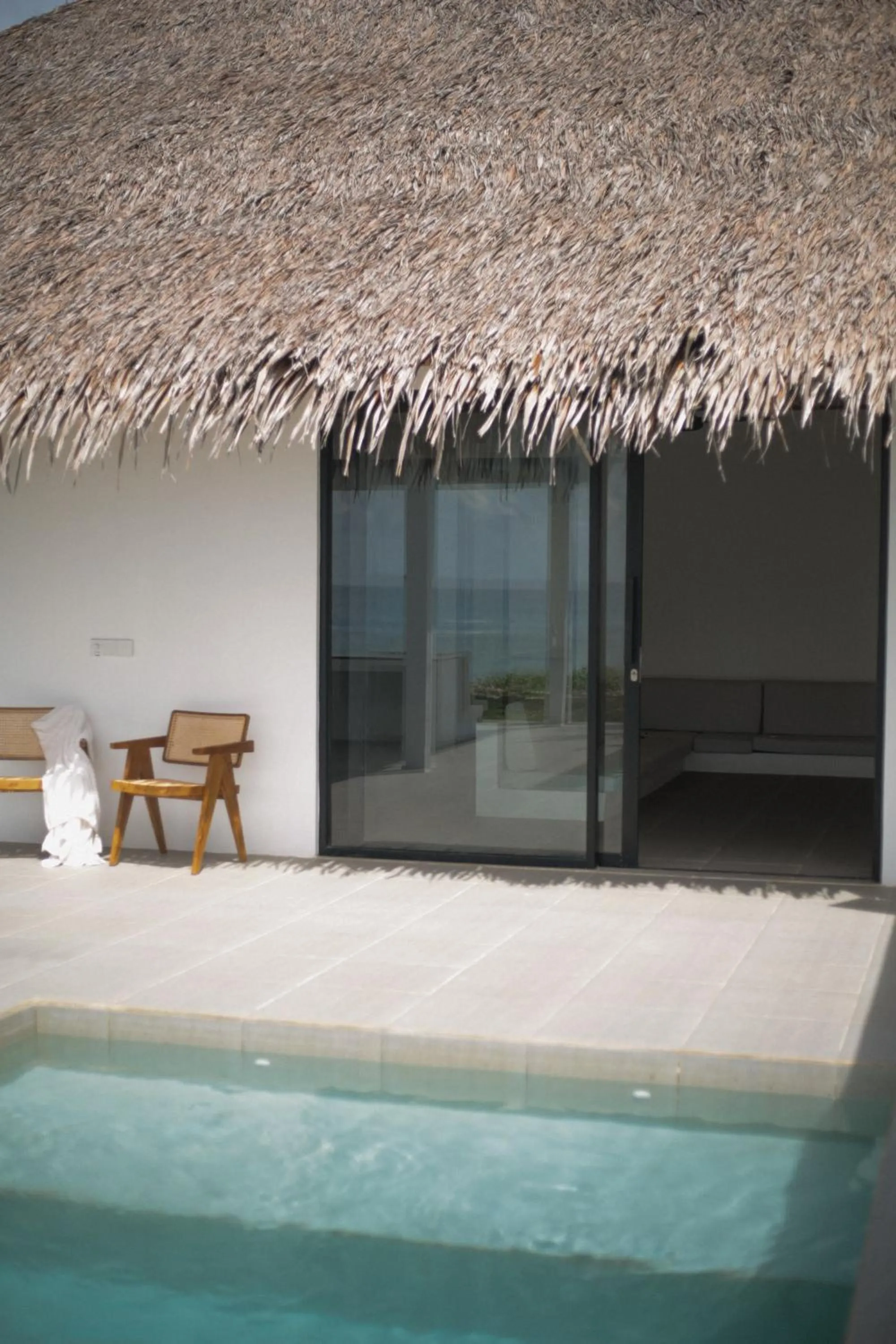 La Belle Hollow Trees