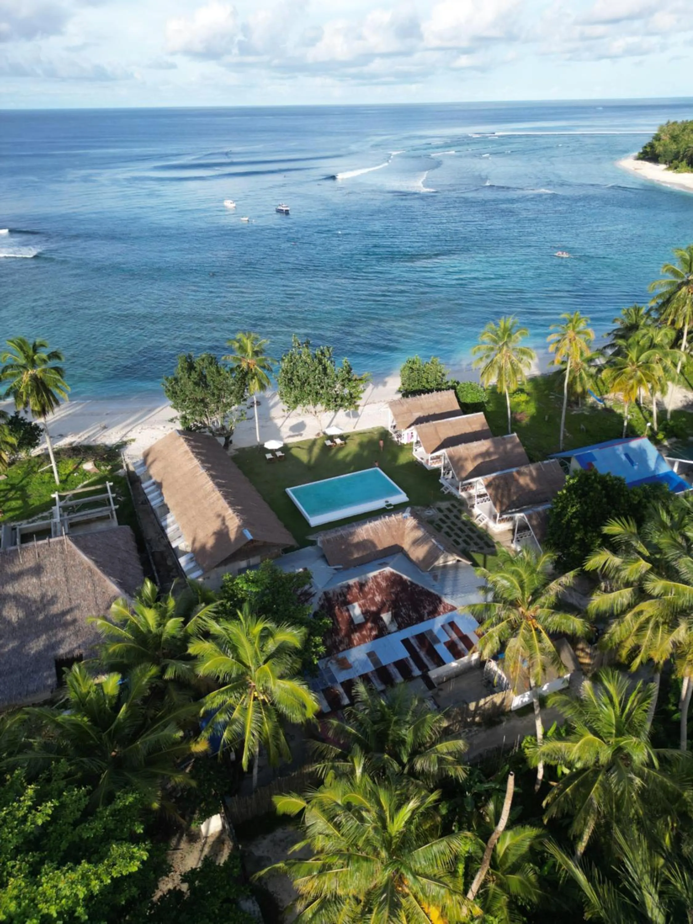 La Belle Hollow Trees