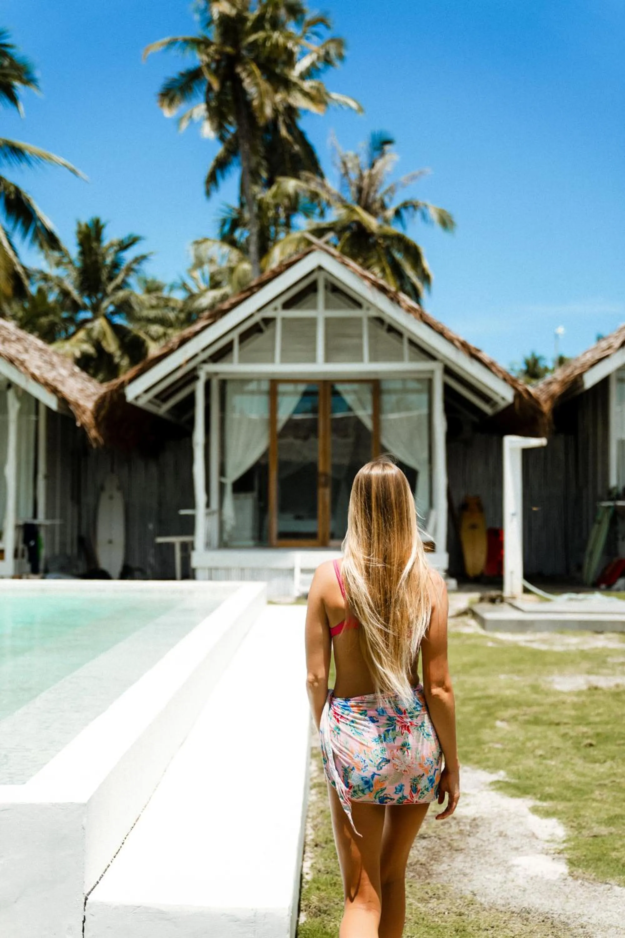 La Belle Hollow Trees