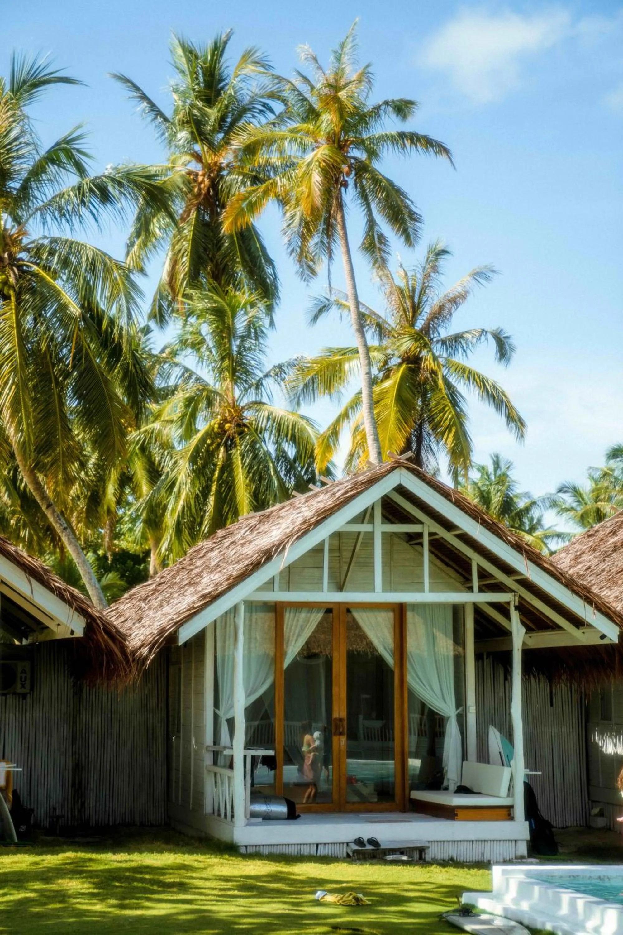 La Belle Hollow Trees