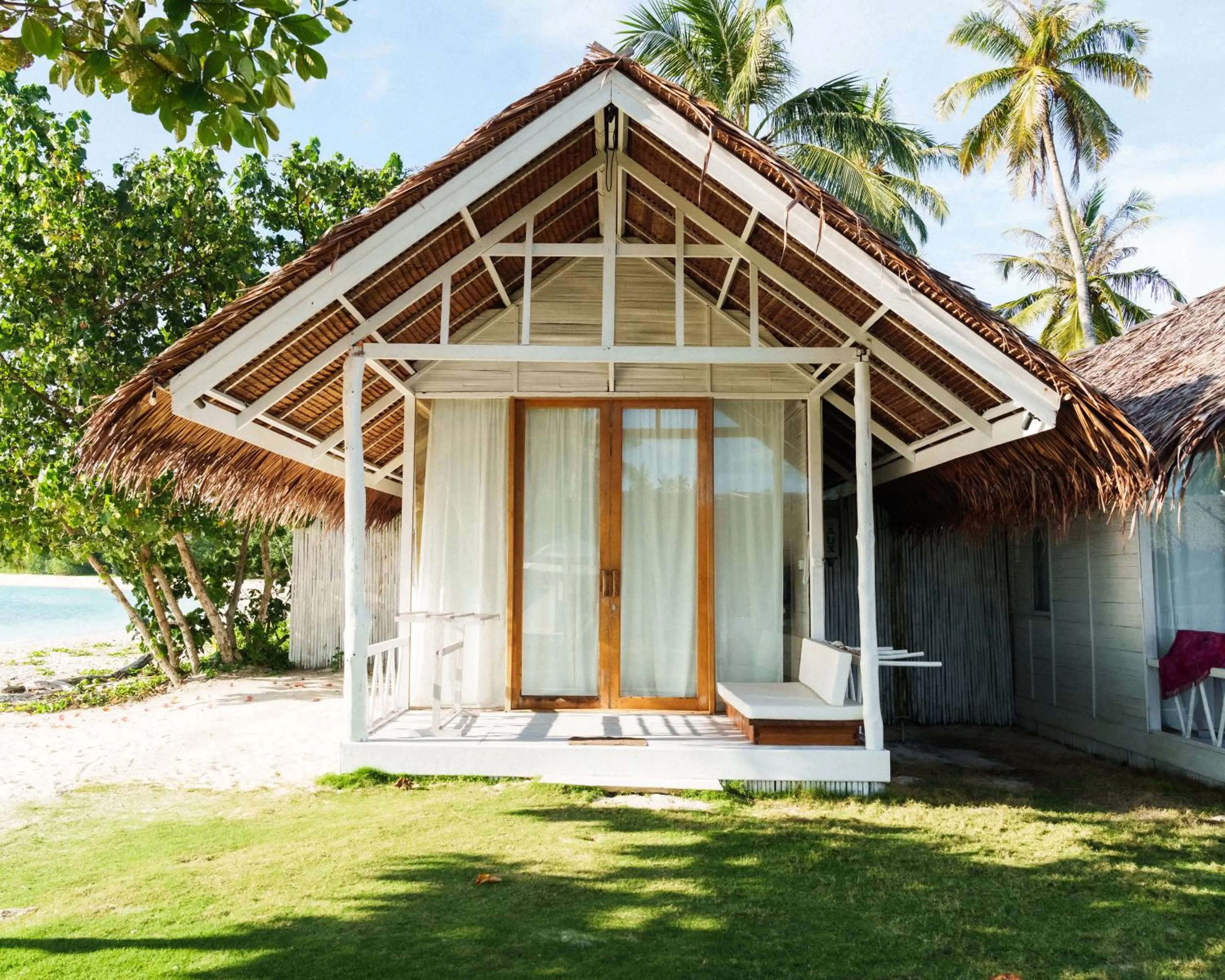 La Belle Hollow Trees