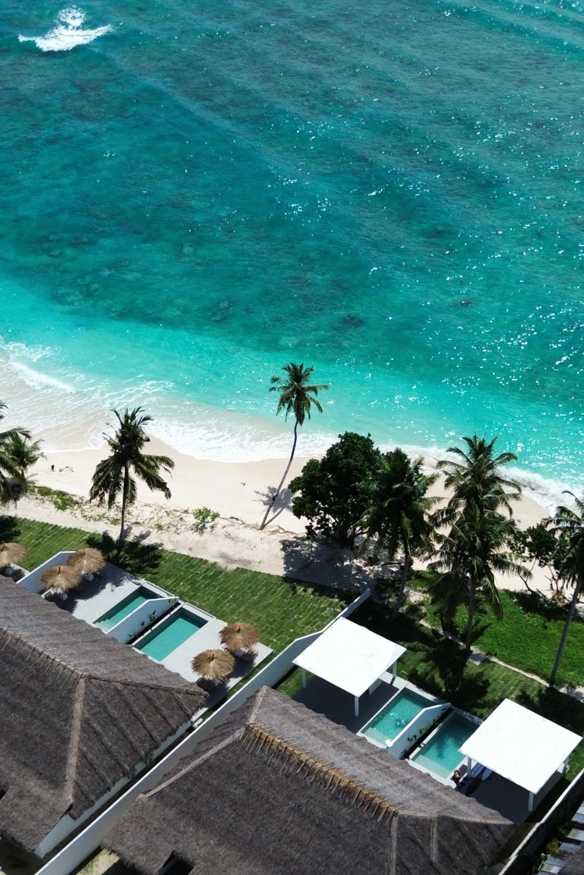 La Belle Hollow Trees