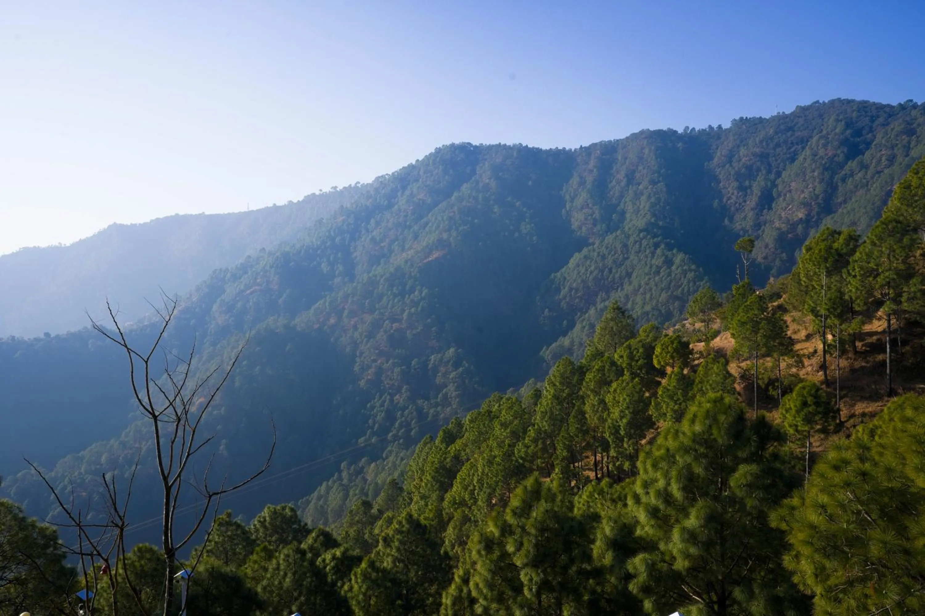 View (from property/room) in Hamilton palace