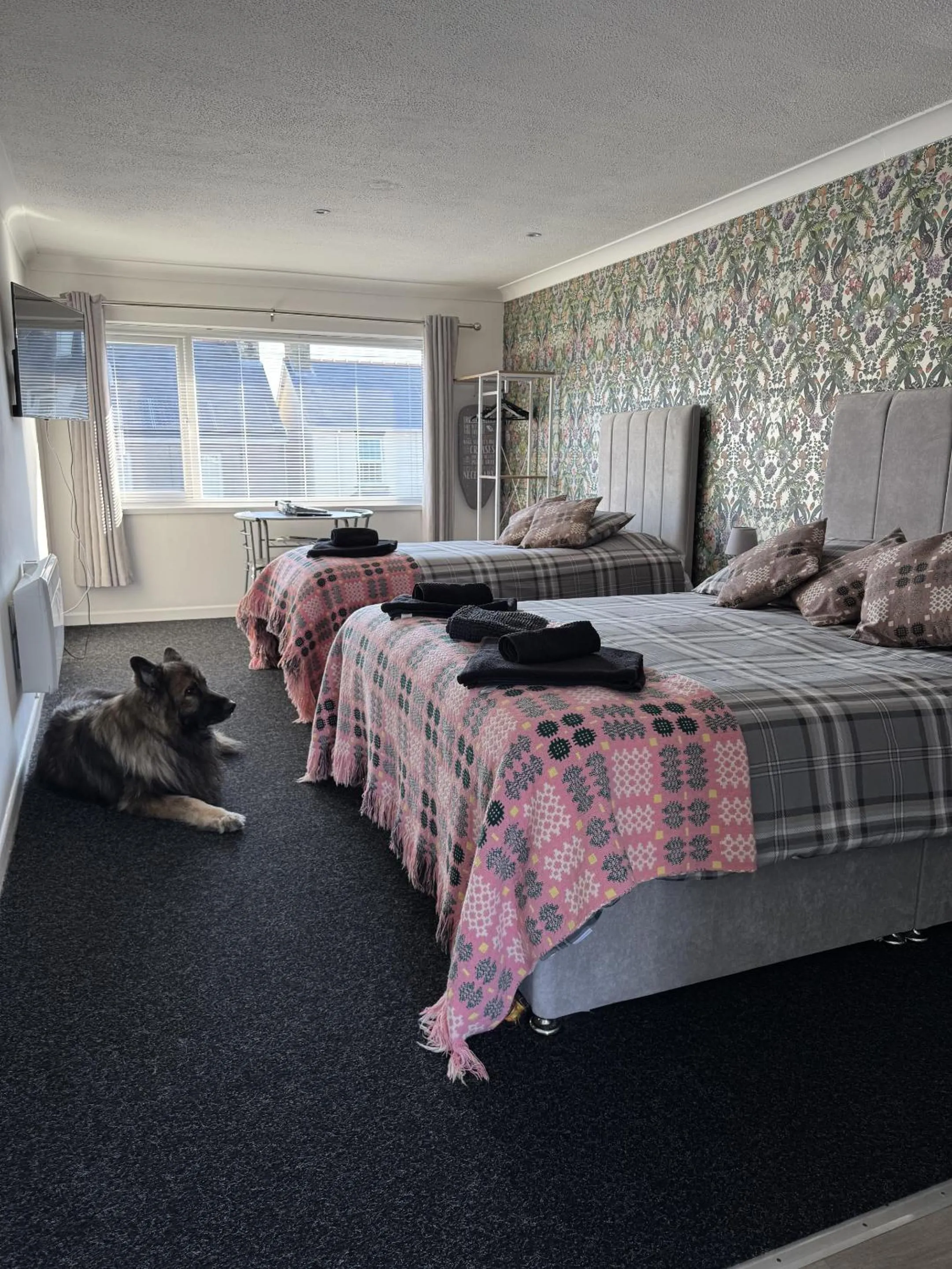 Double or Twin Room with Private Bathroom in Traeth Rooms
