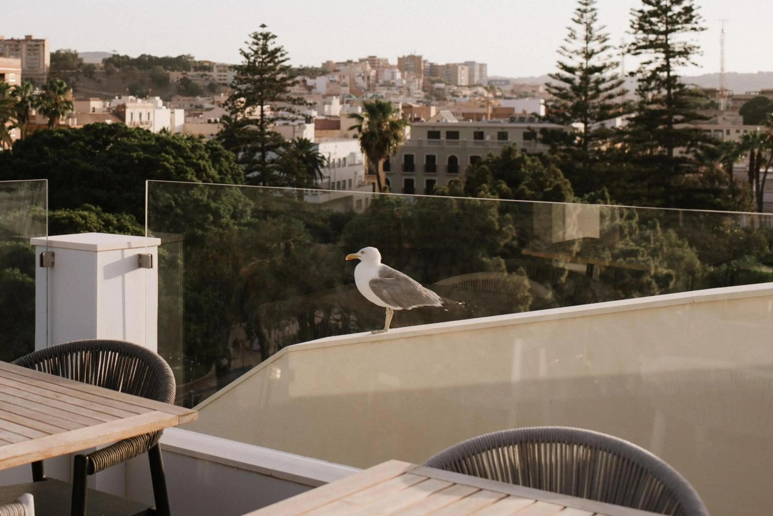 Balcony/Terrace in Hotel Melilla Centro