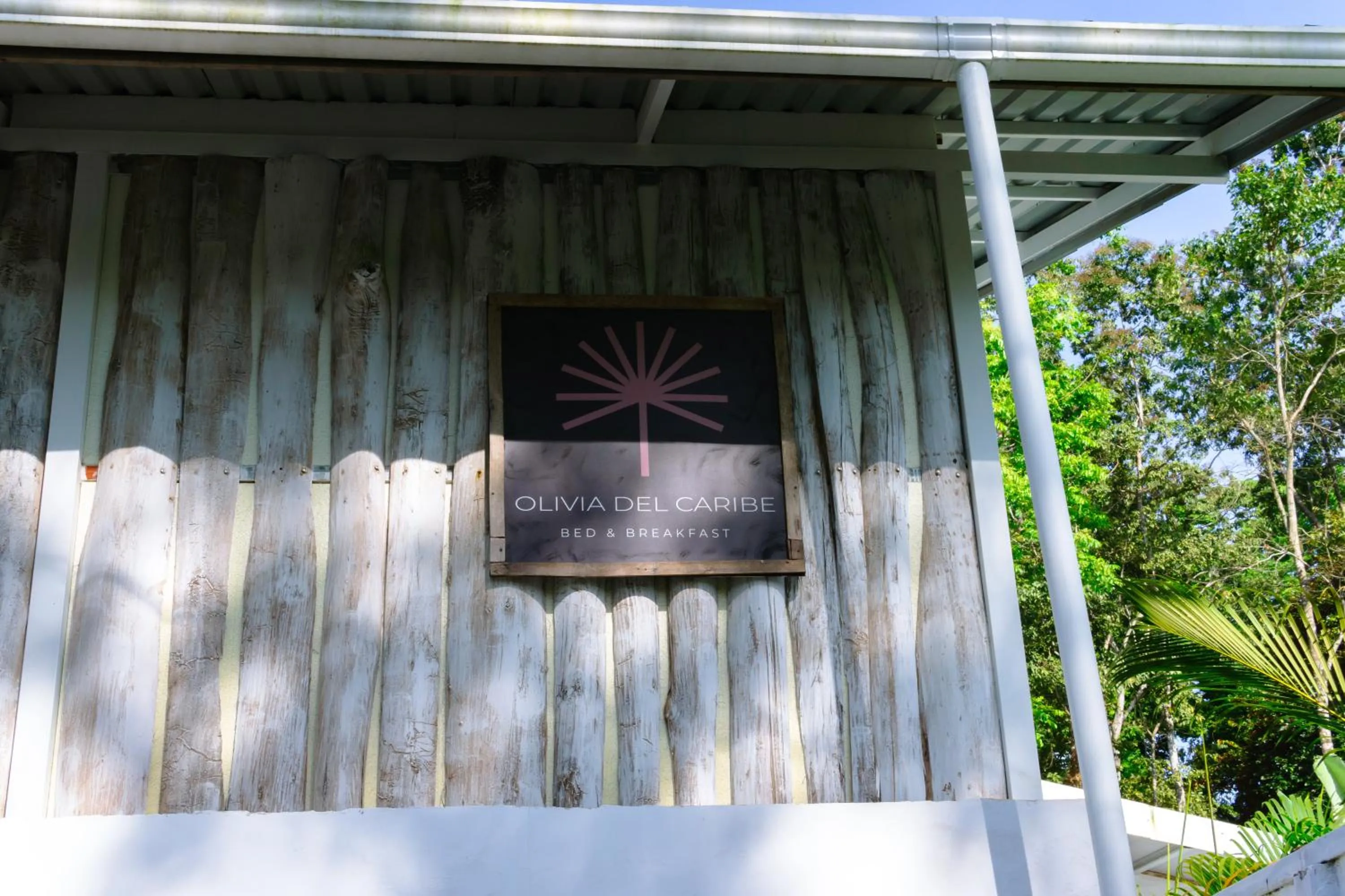 Property building in Olivia del caribe suite