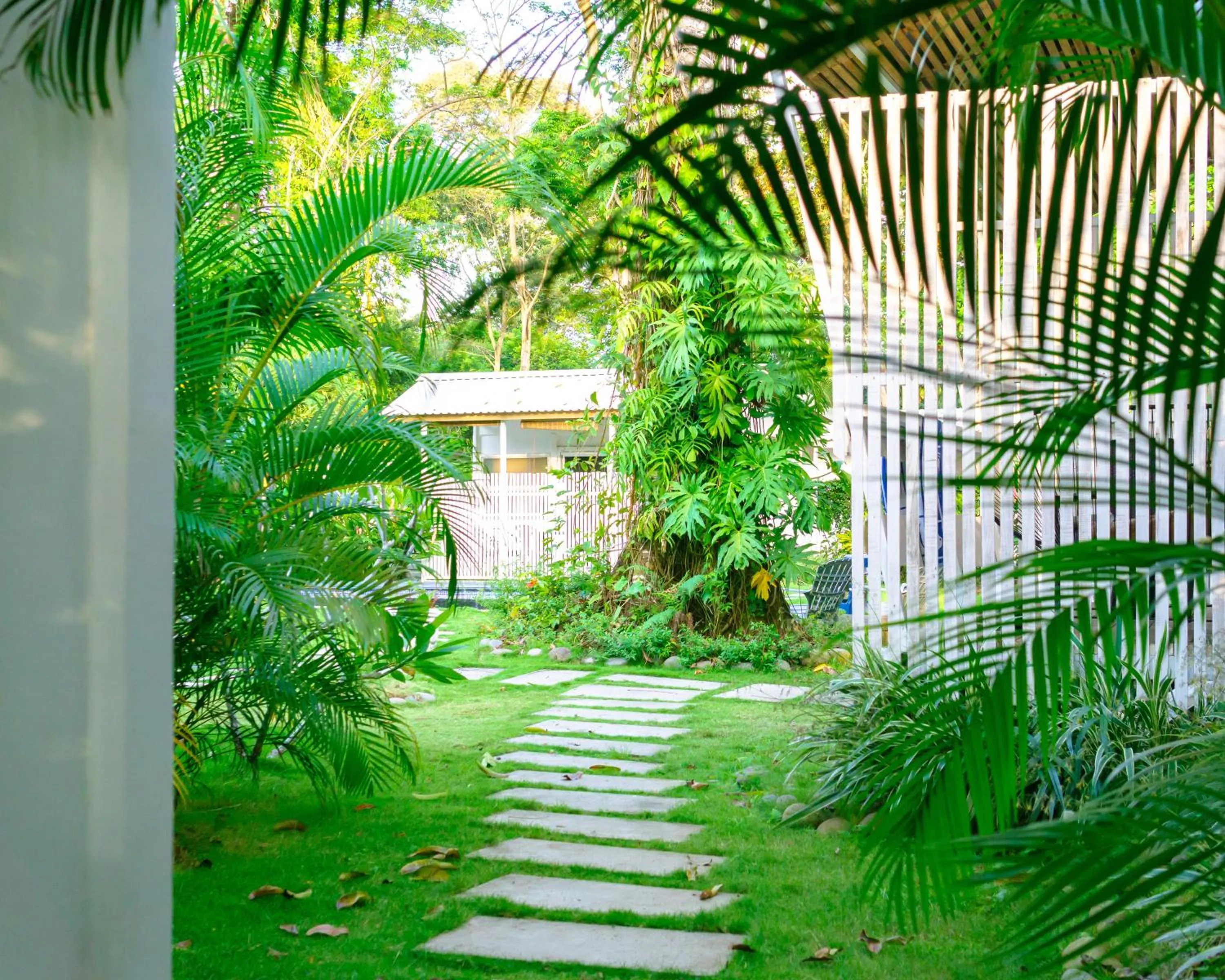 Garden view in Olivia del caribe suite