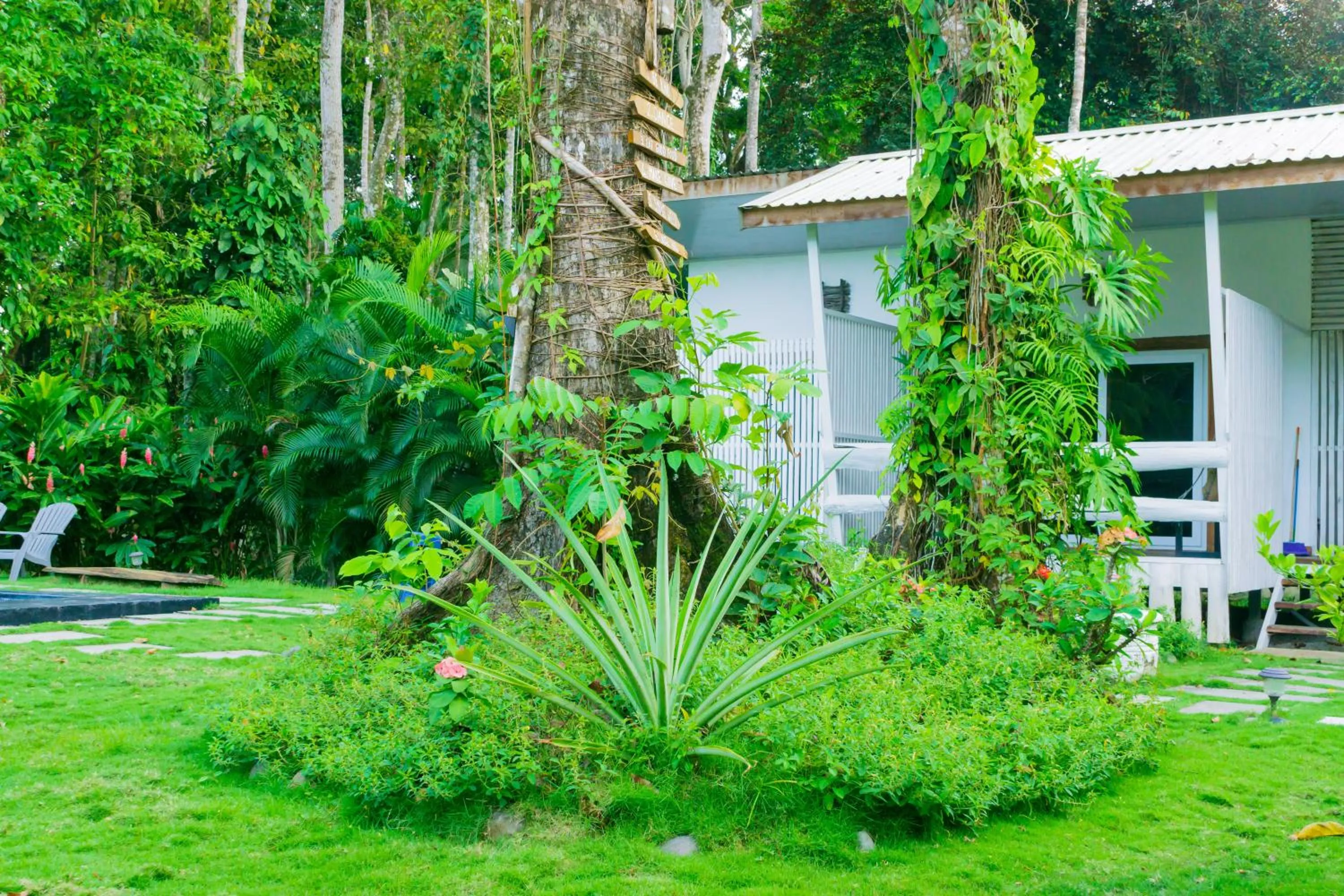 Garden in Olivia del caribe suite