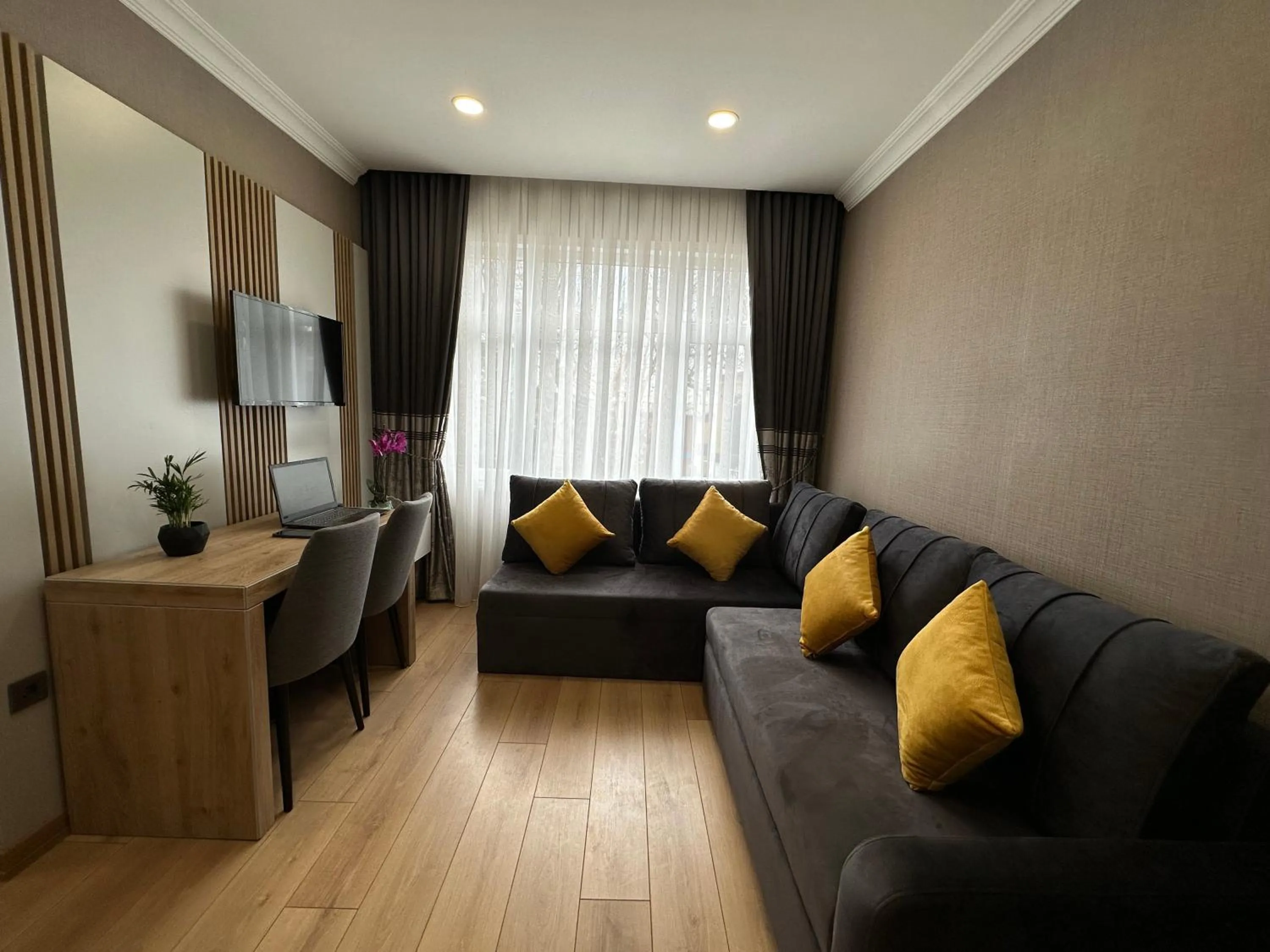 TV and multimedia in H&L Suites