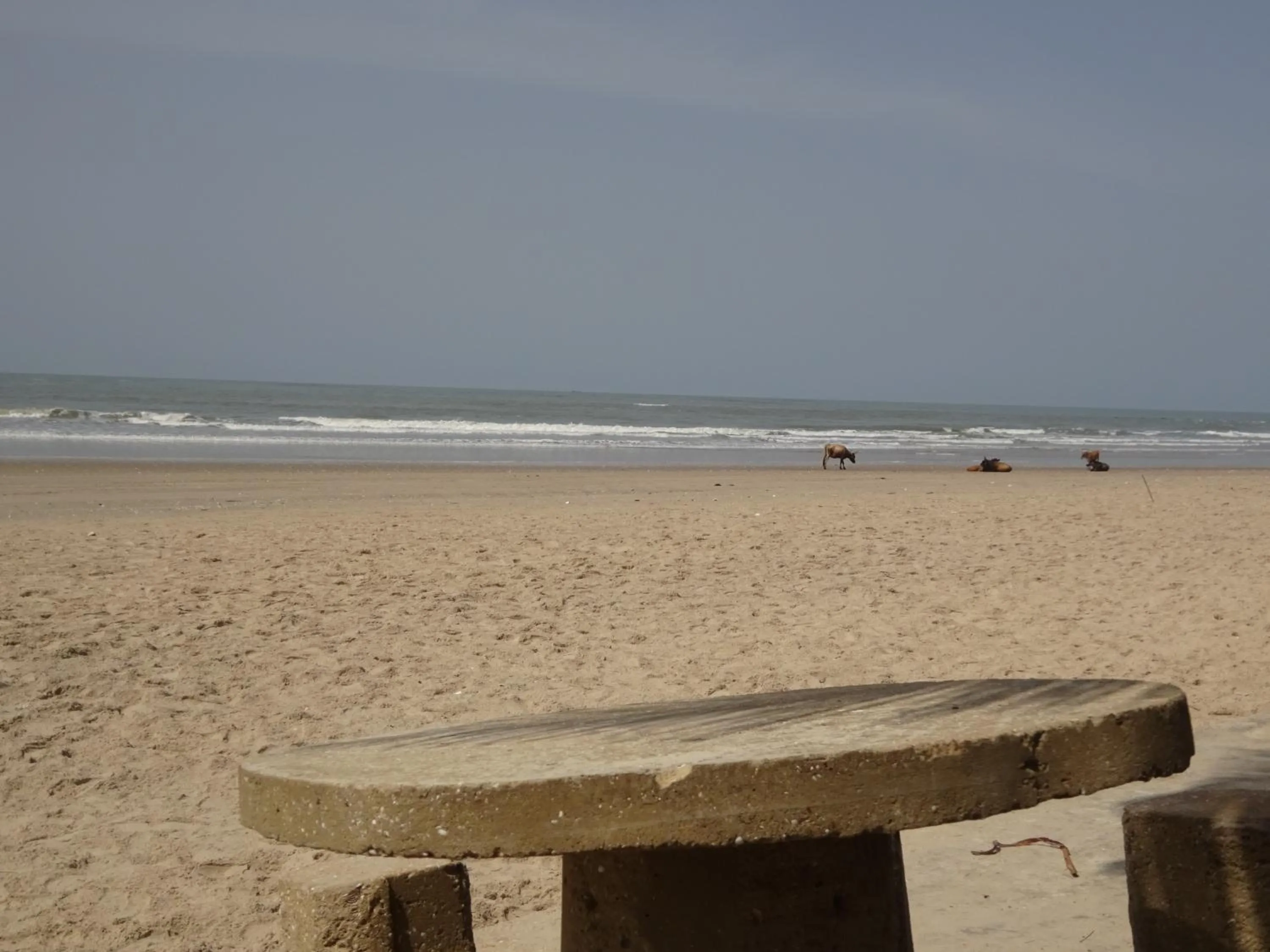 Beach in HOTEL DU BAR DE LA MER CAP SKIRRiNG