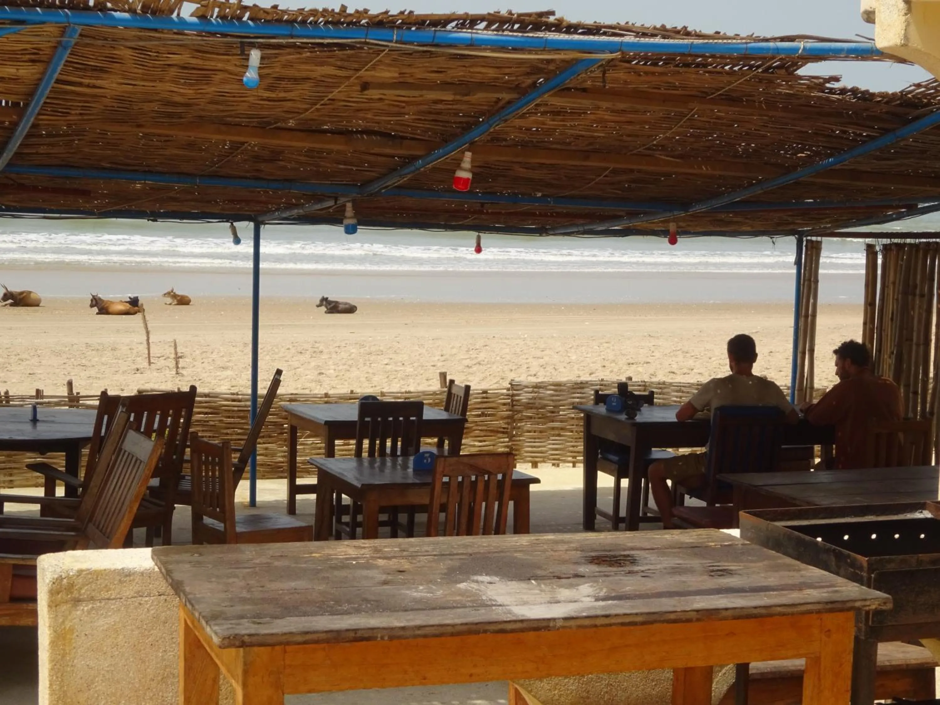 Restaurant/places to eat in HOTEL DU BAR DE LA MER CAP SKIRRiNG