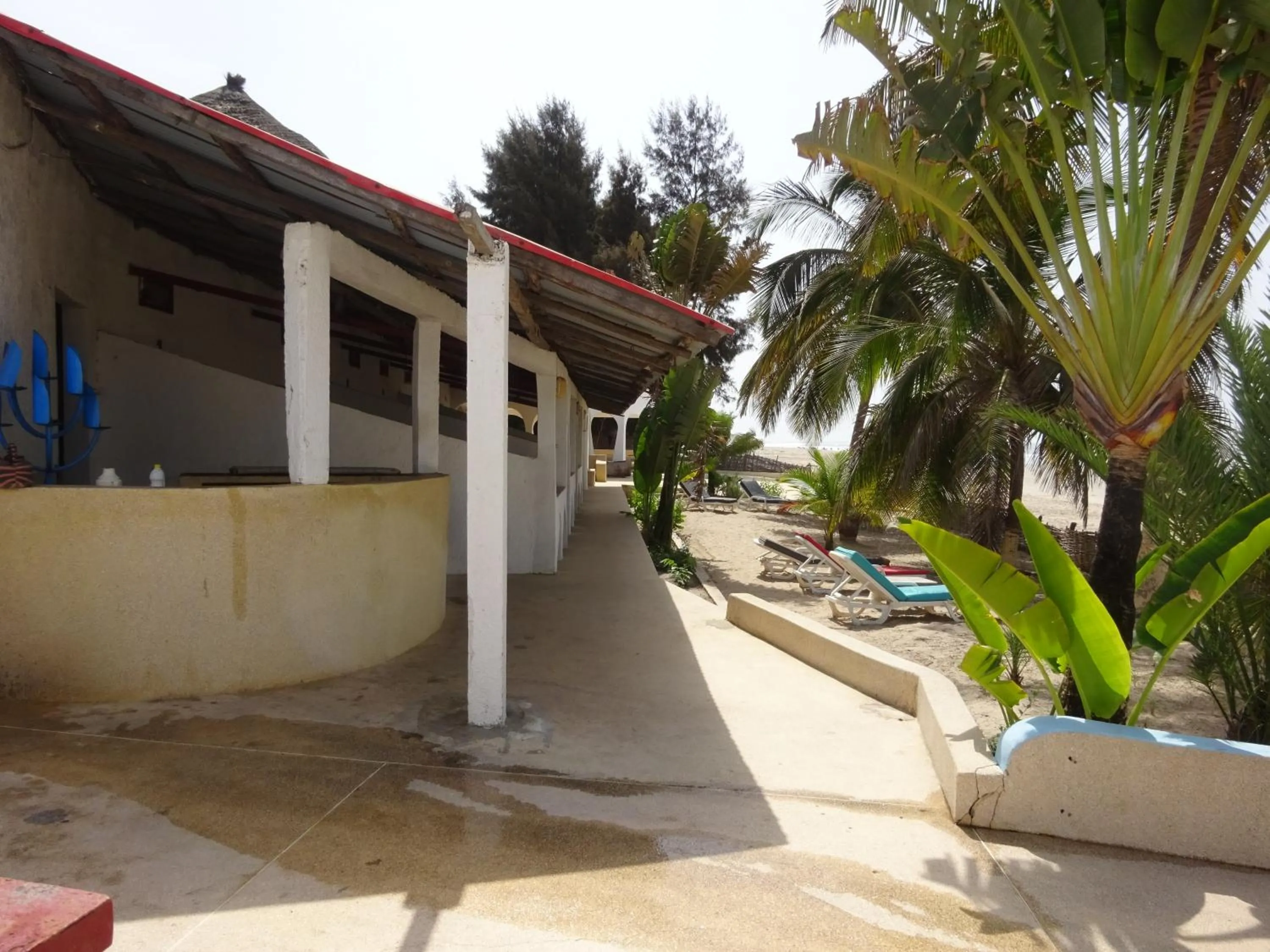 Garden view in HOTEL DU BAR DE LA MER CAP SKIRRiNG