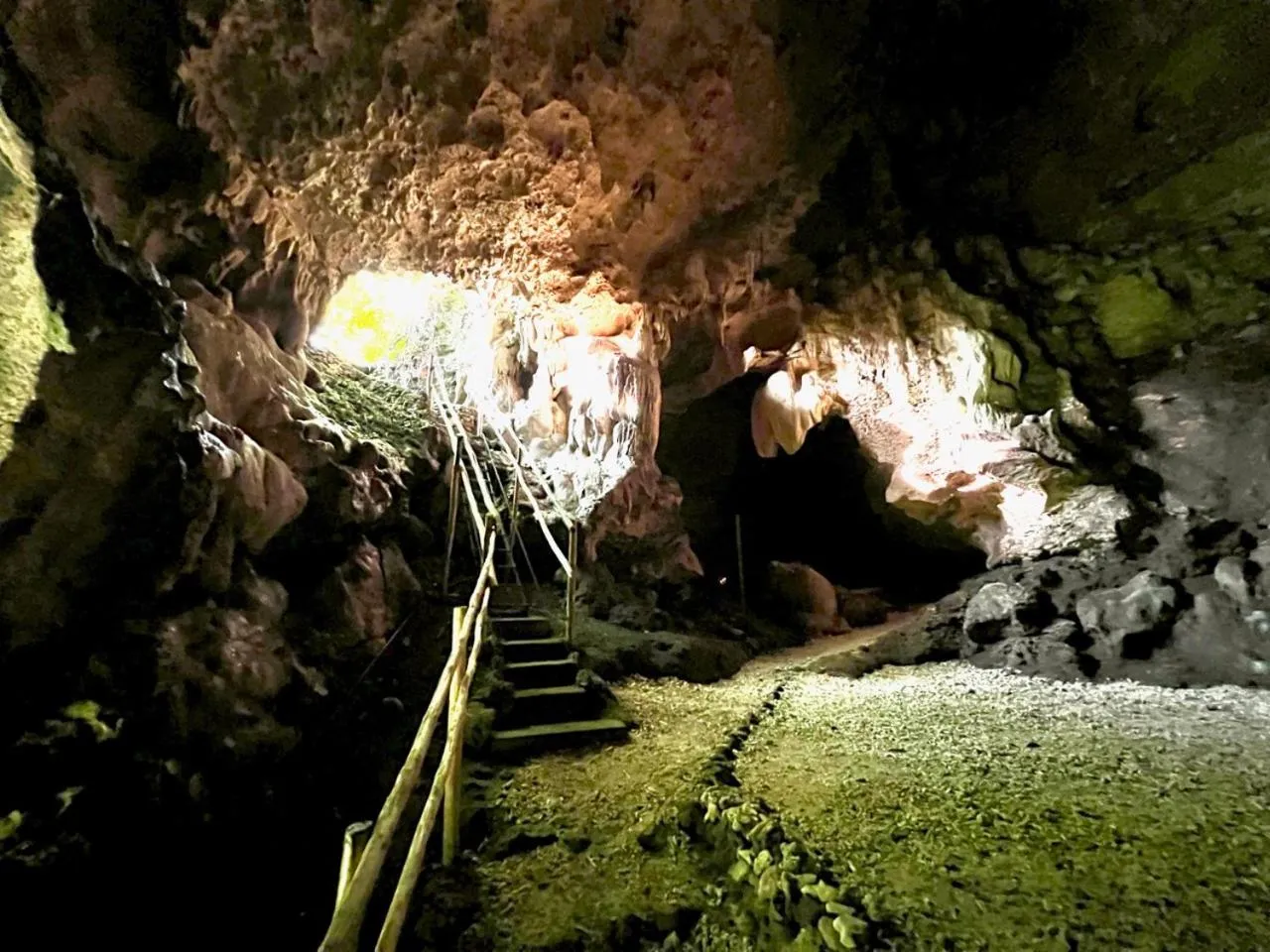 Natural landscape in Freshwater Plantation Farm Stay