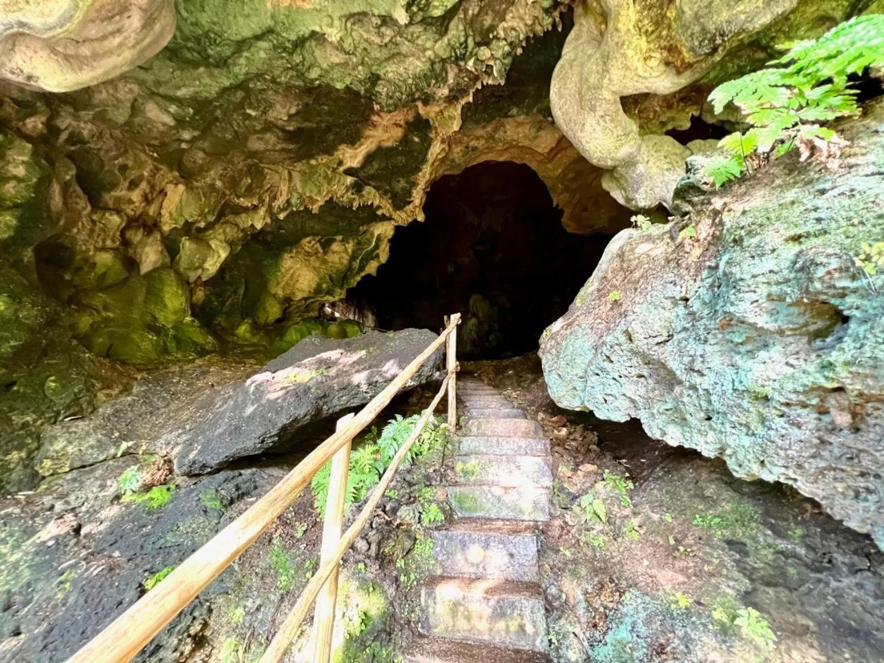 Freshwater Plantation Farm Stay