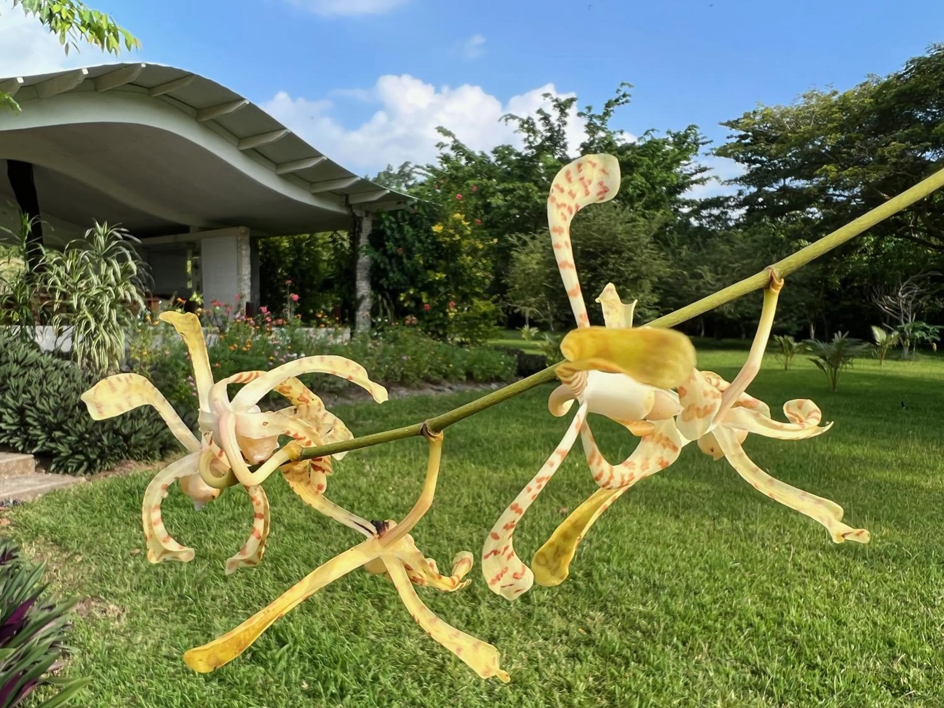 Freshwater Plantation Farm Stay