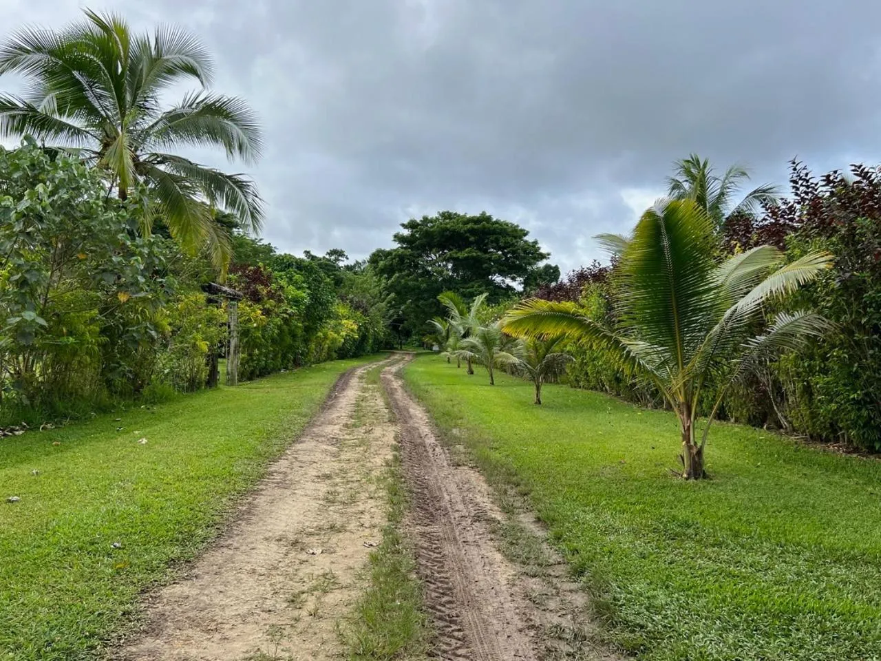 Freshwater Plantation Farm Stay