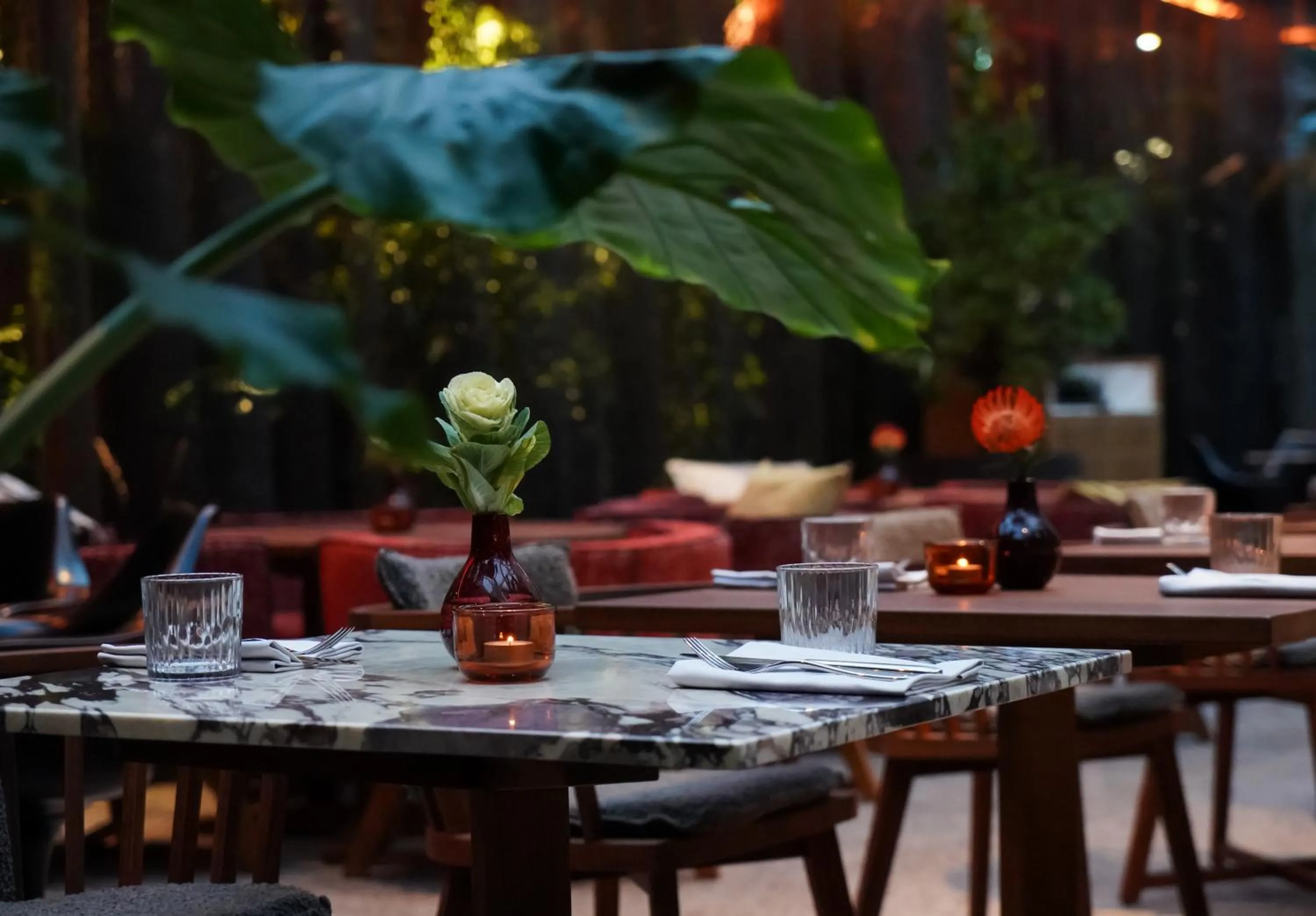 Restaurant/places to eat in sly Berlin