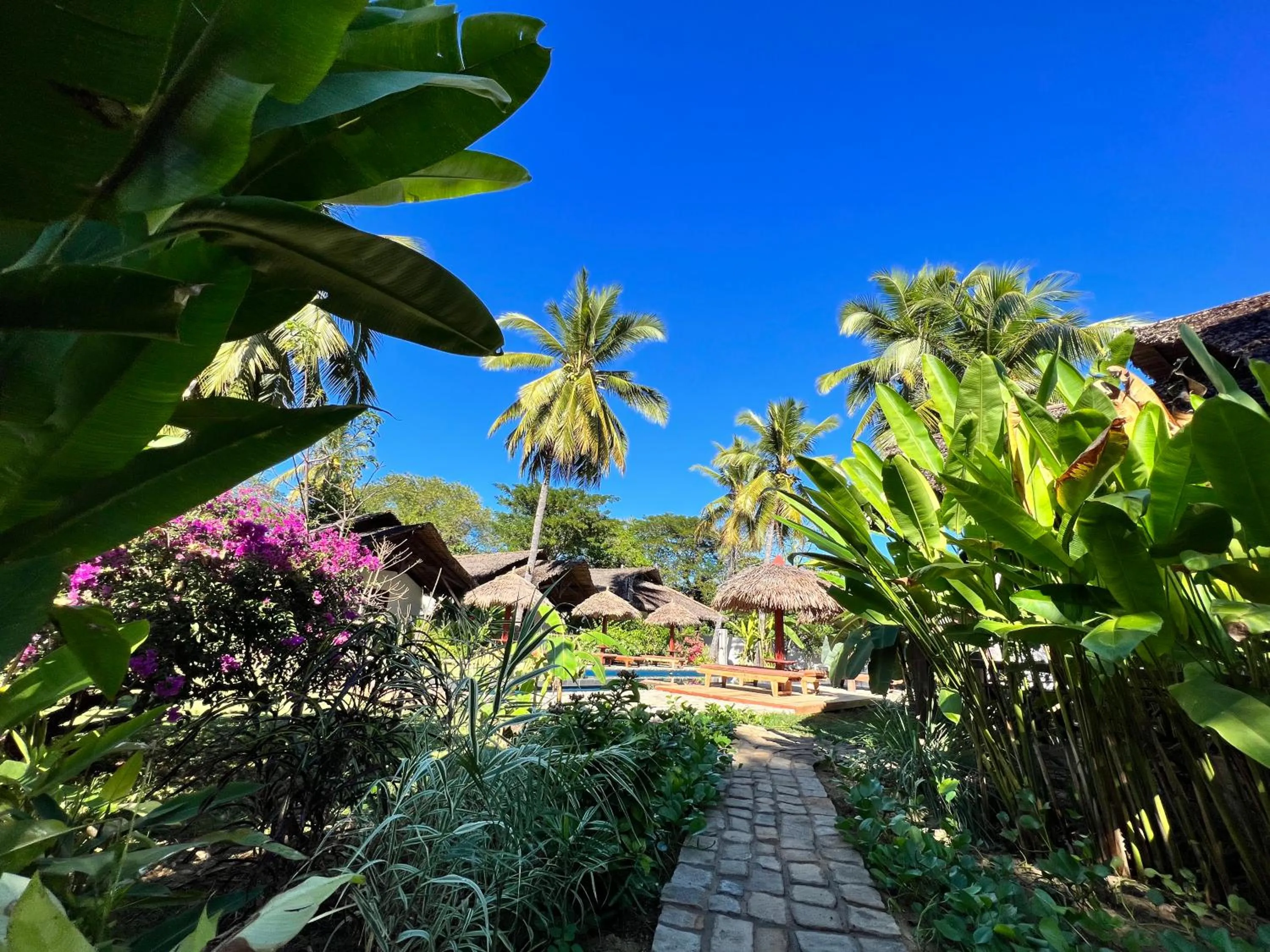 Garden in NatShi Lodge