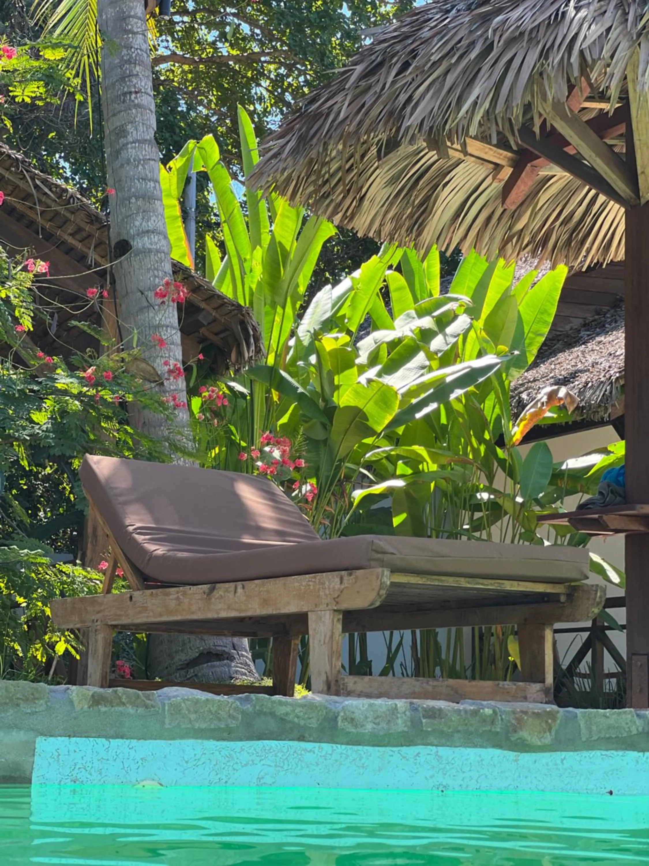 Swimming pool in NatShi Lodge