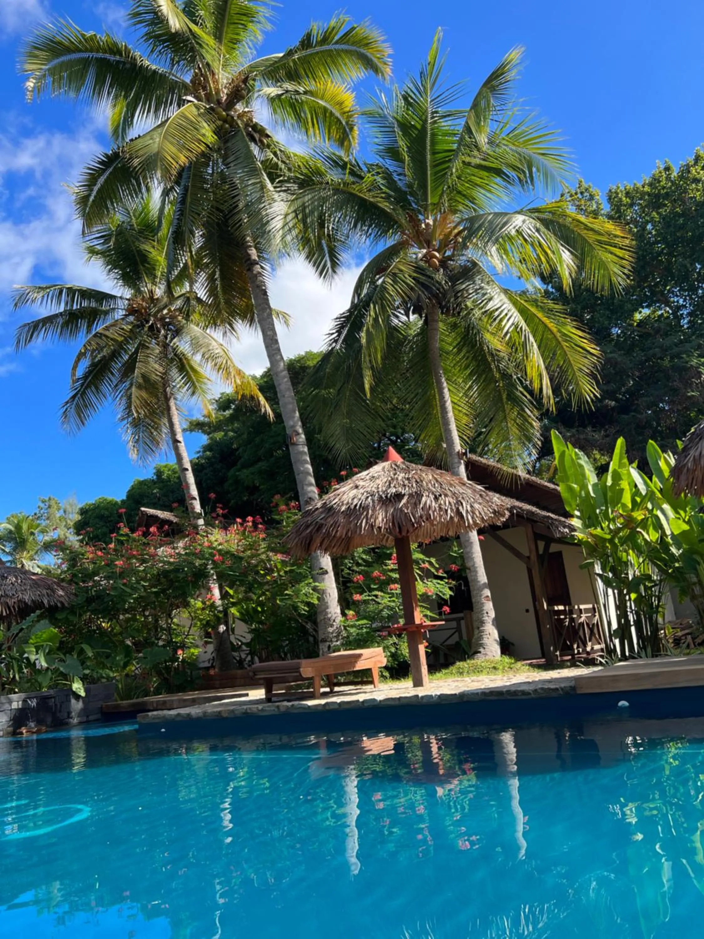 Garden in NatShi Lodge