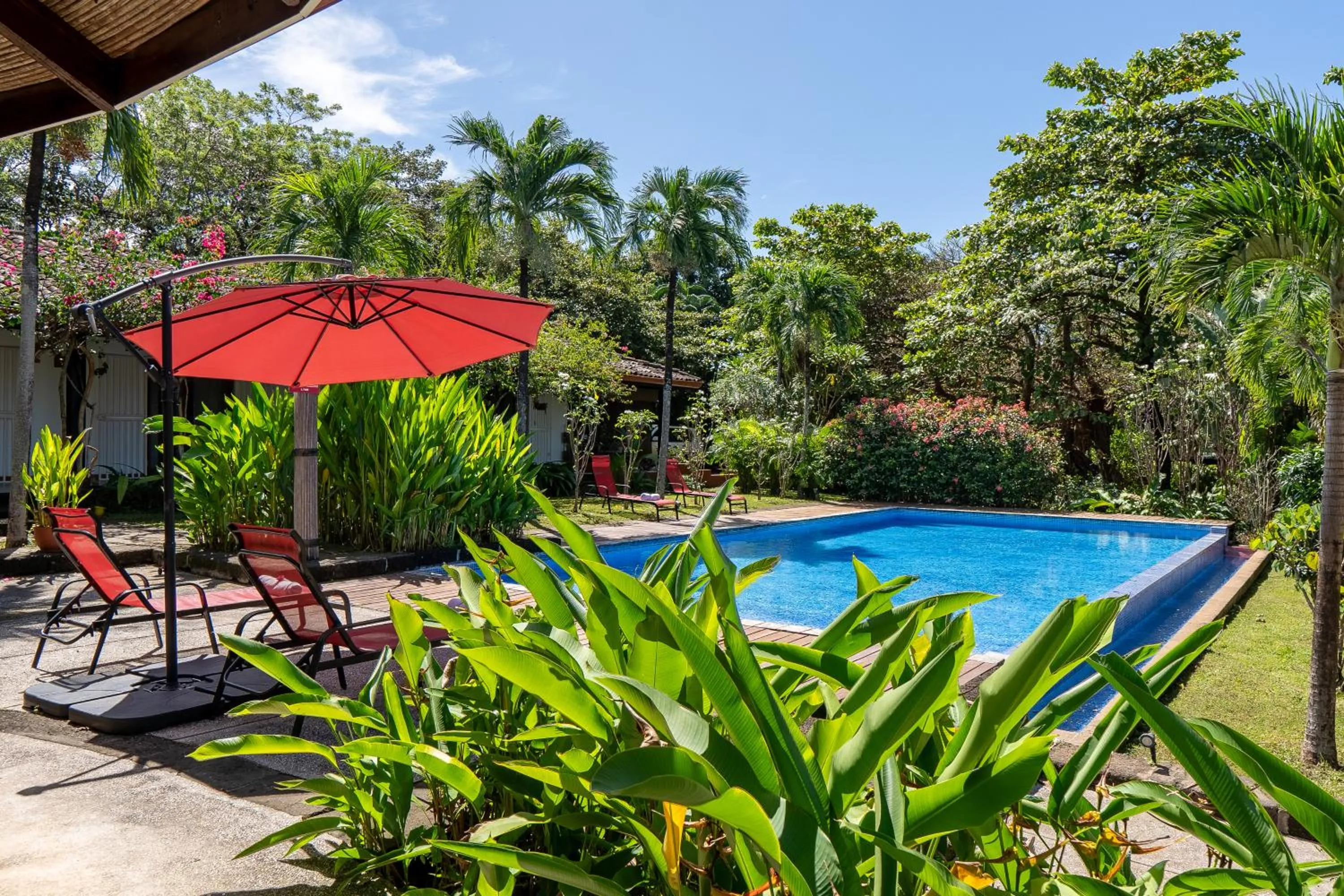 Swimming pool in Casa Mapache