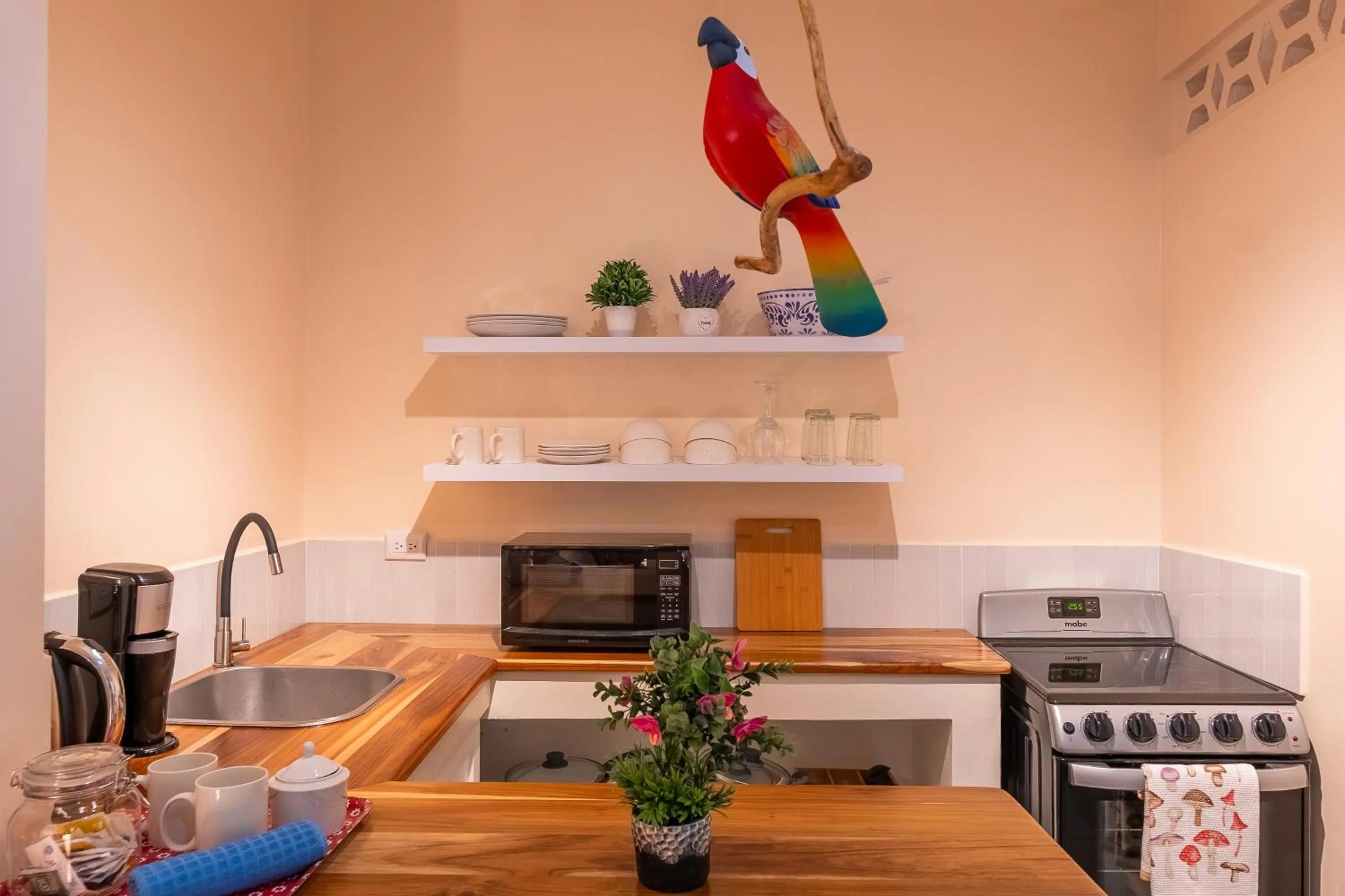 Kitchen or kitchenette in Casa Mapache