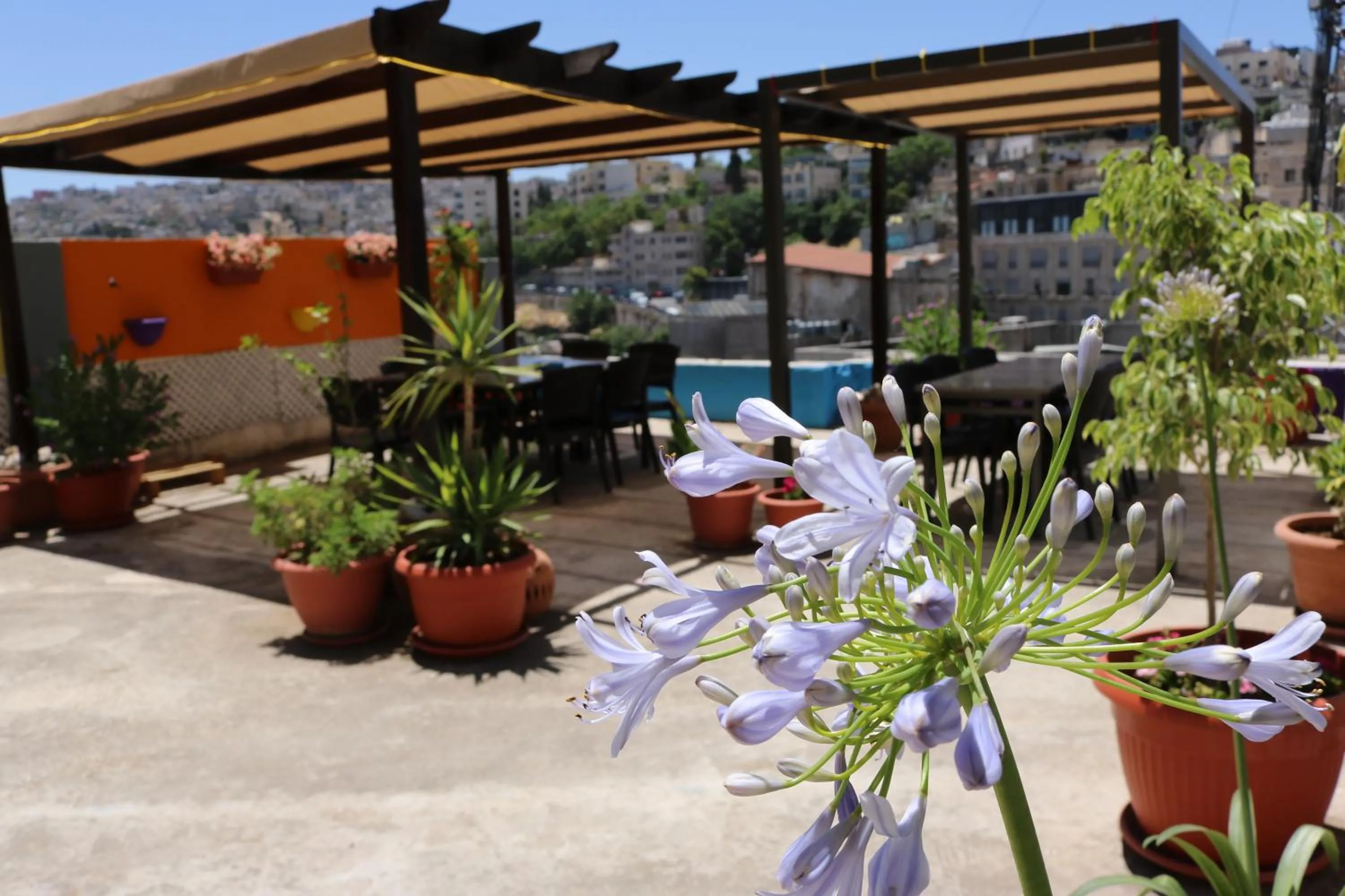 Balcony/Terrace in Gallery Hotel