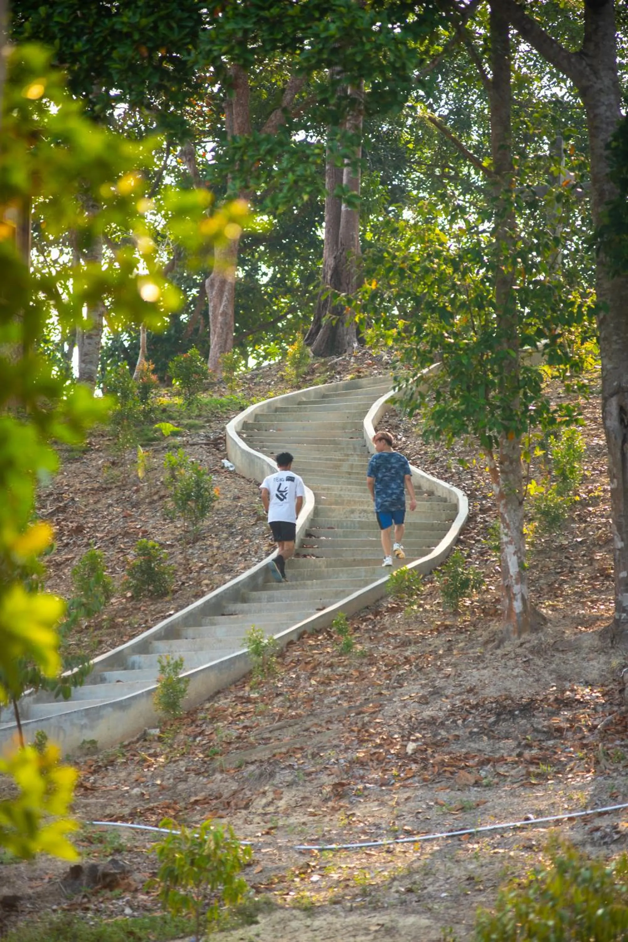 Natural landscape in Bintan Exotica Resort By Waringin Hospitality