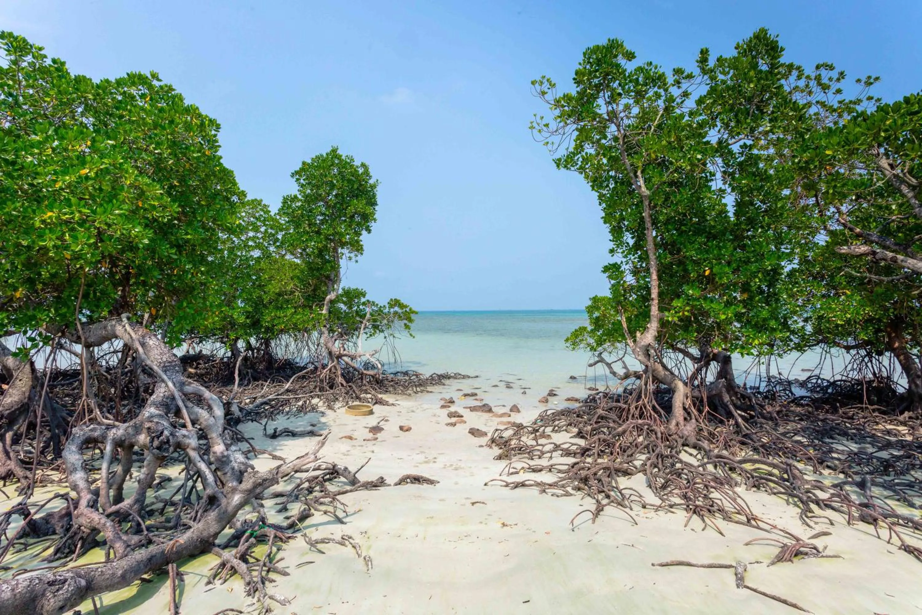 Beach in Bintan Exotica Resort By Waringin Hospitality