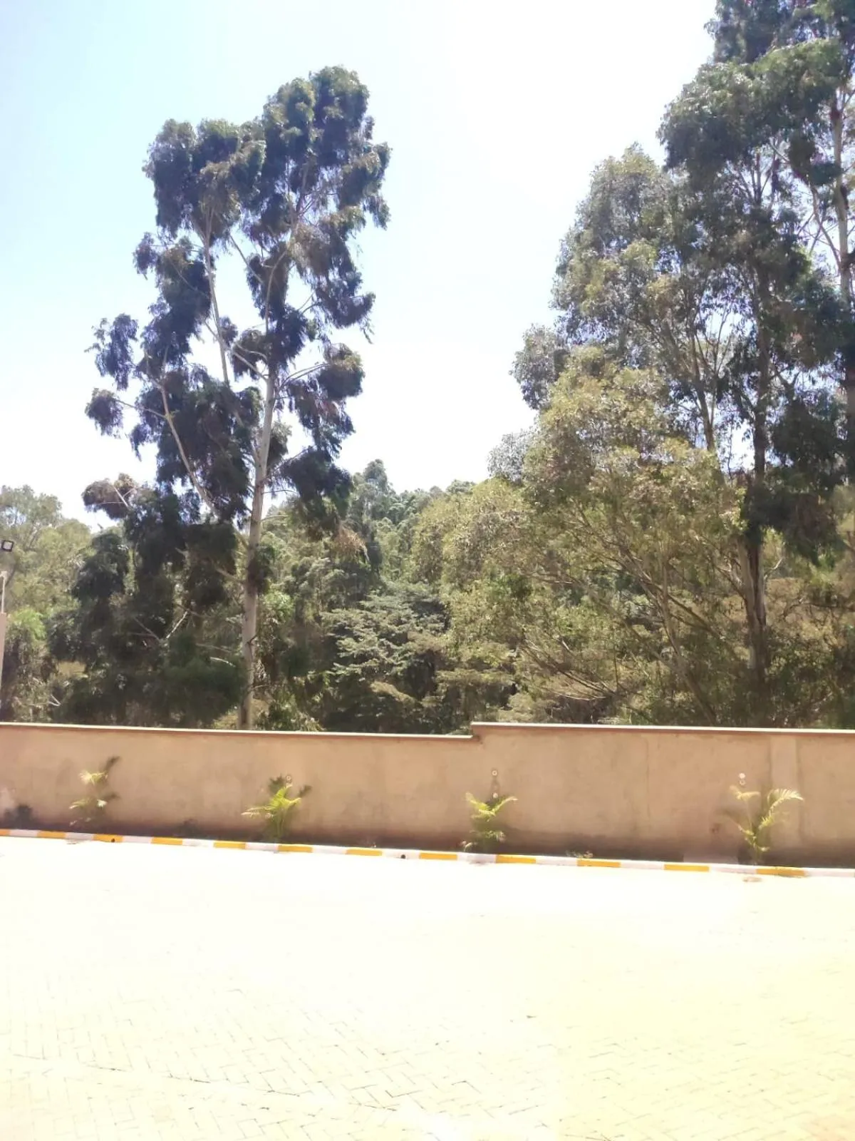 View (from property/room) in Gardens Executive Suites