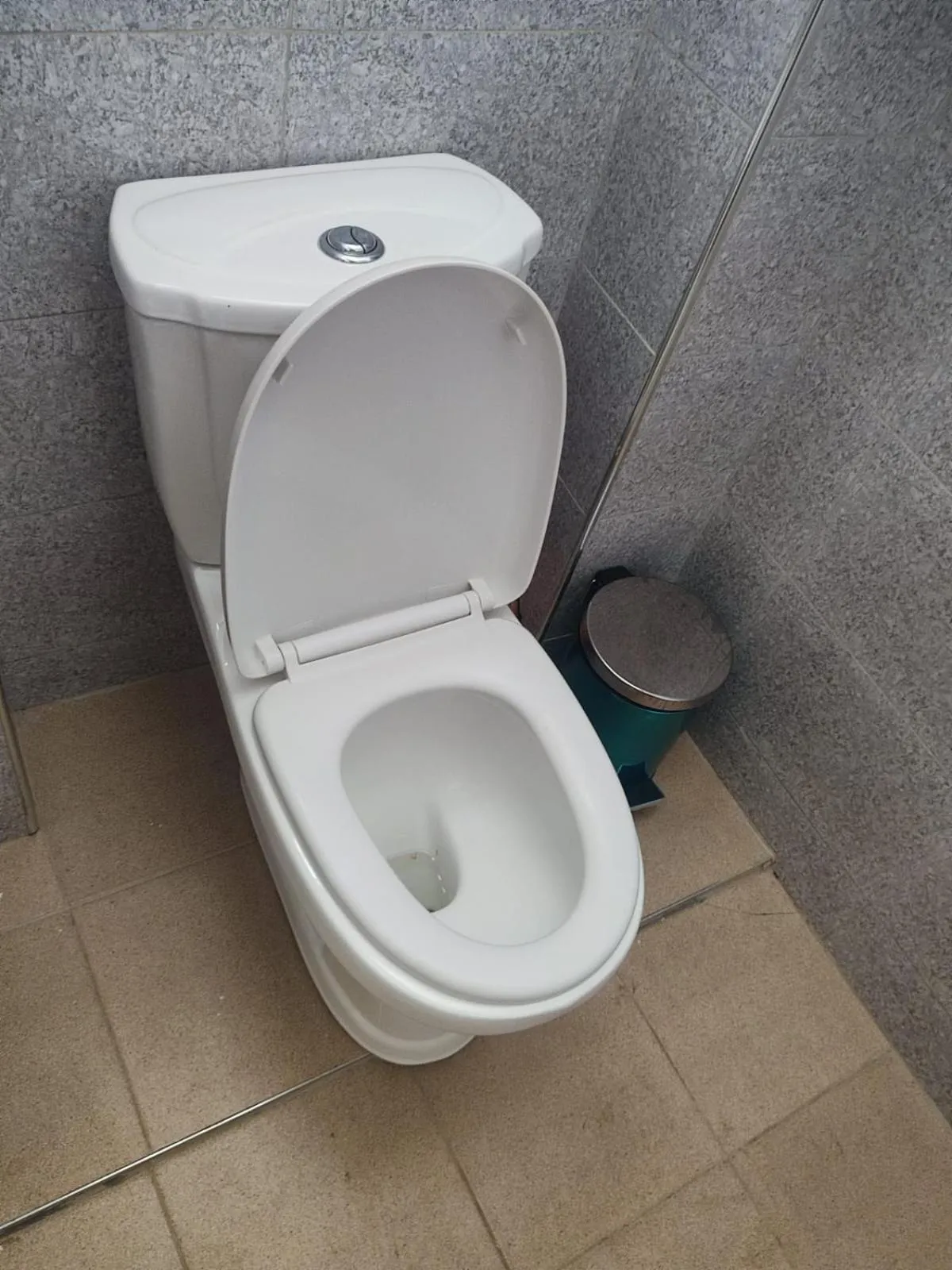 Toilet in Gardens Executive Suites