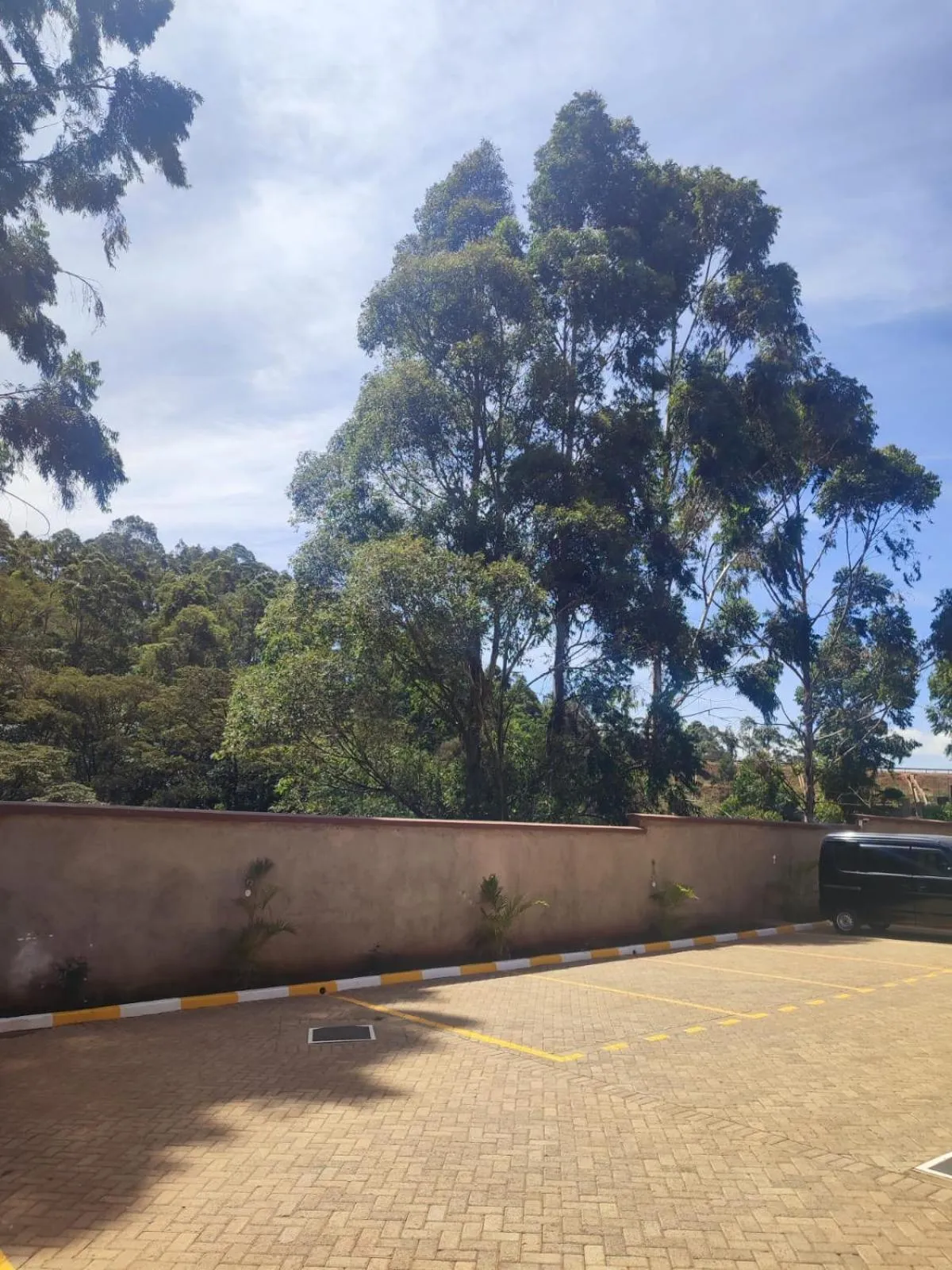 Day in Gardens Executive Suites