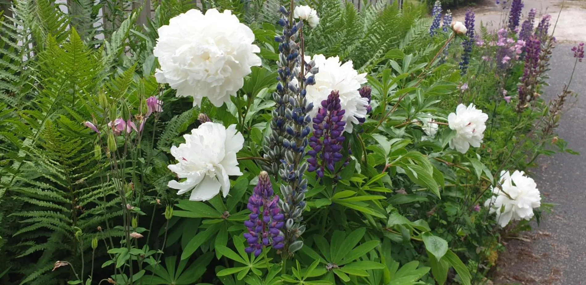 Garden in Les Chalets de la MARGERIDE