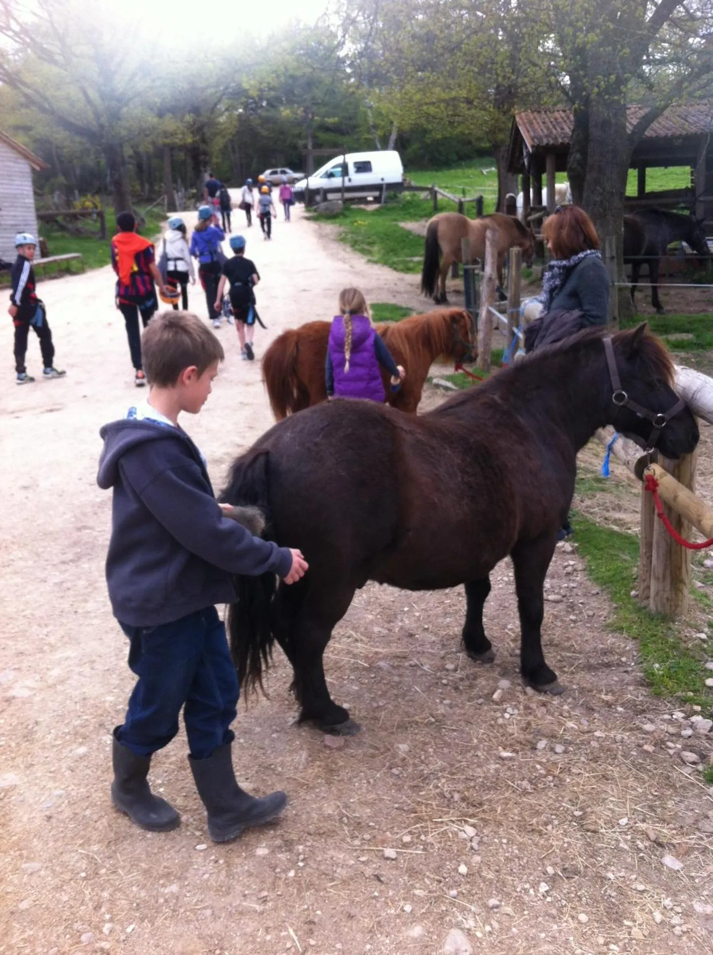 Horse-riding in Les Chalets de la MARGERIDE