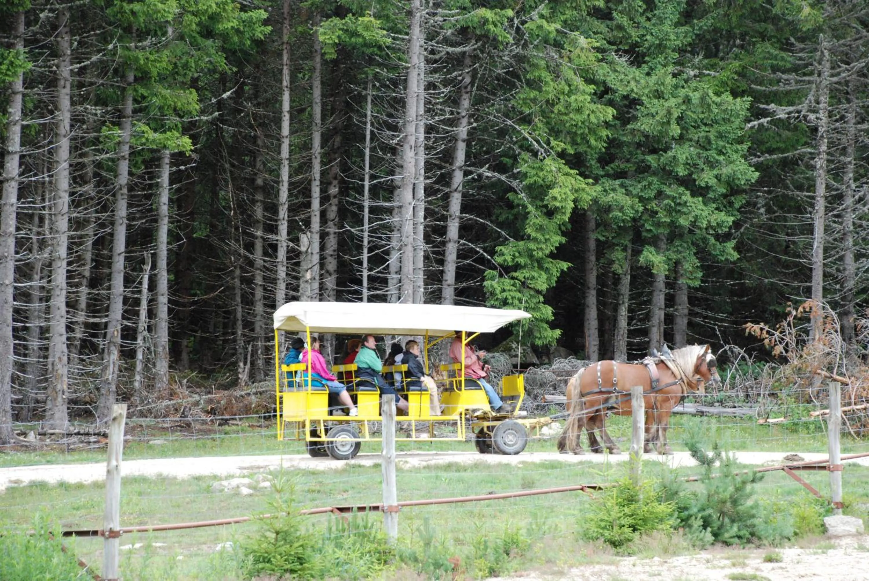 Activities in Les Chalets de la MARGERIDE