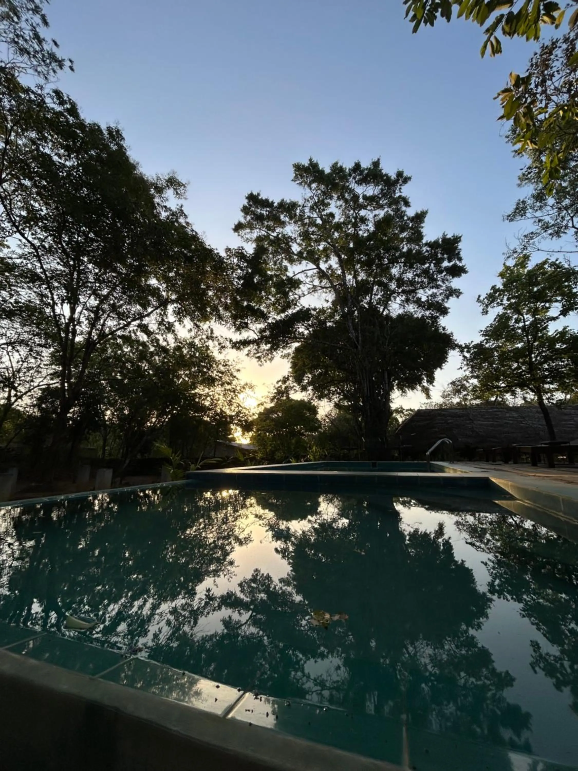 Swimming pool in Gabaa Resort & Spa - Habarana