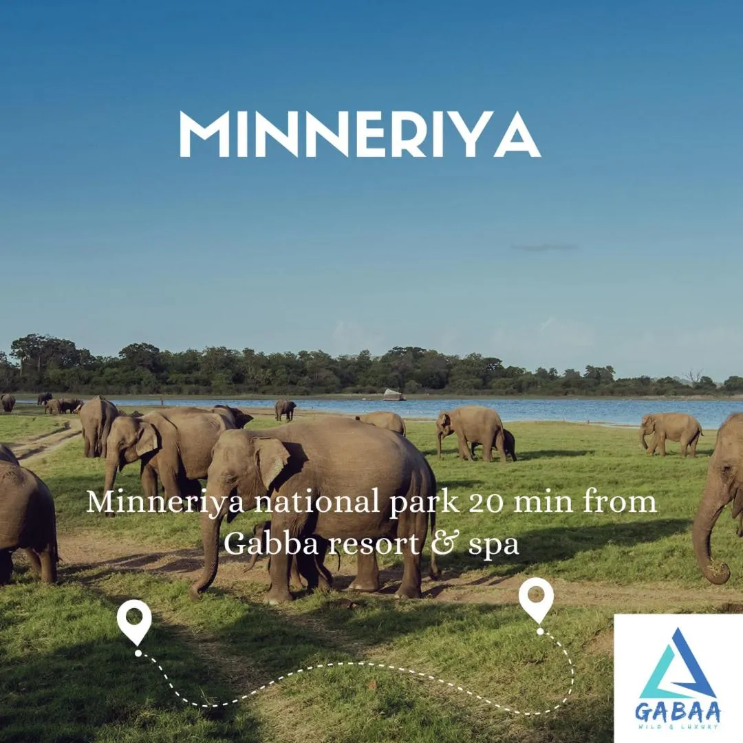 Activities in Gabaa Resort & Spa - Habarana