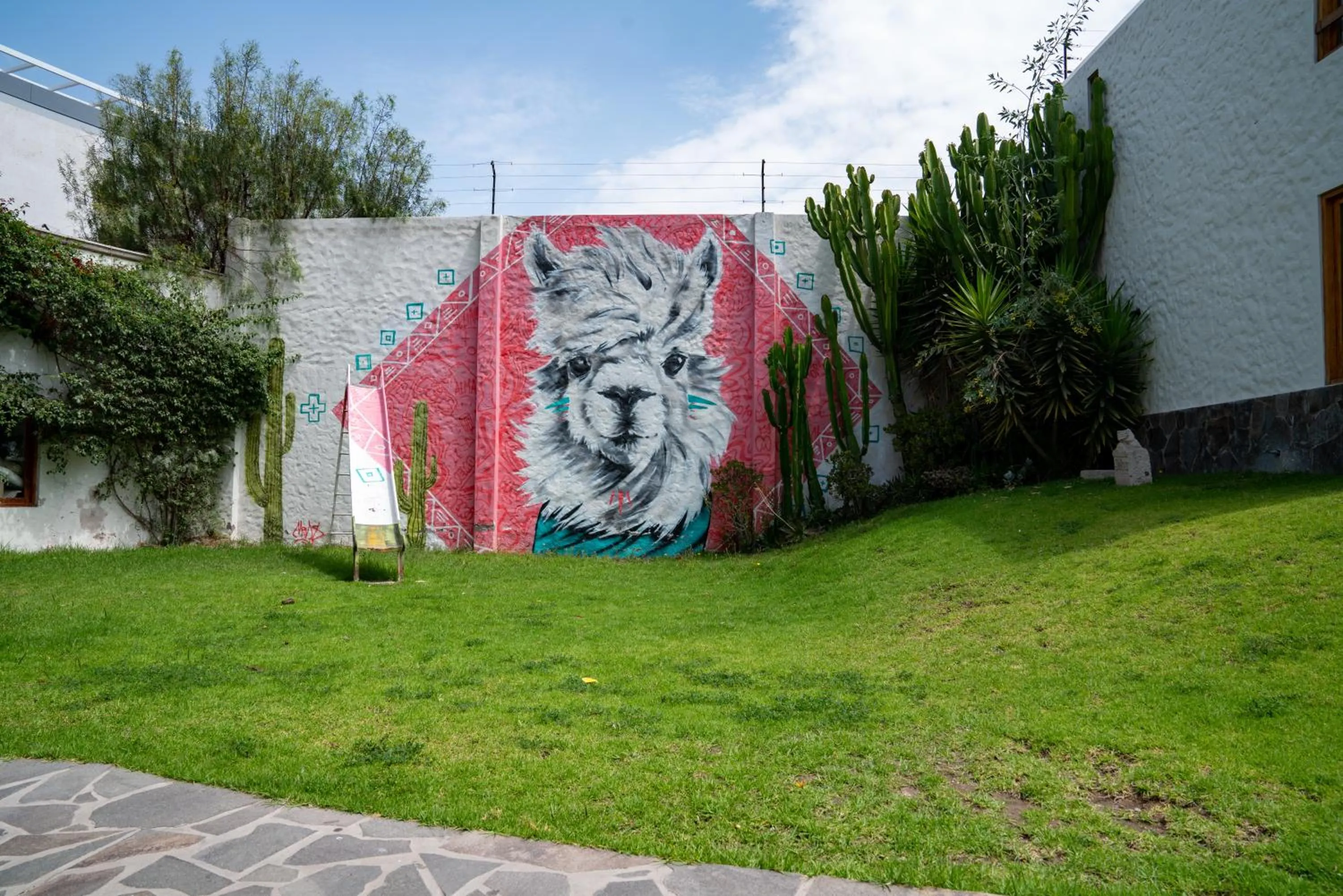 Garden in Selina Arequipa