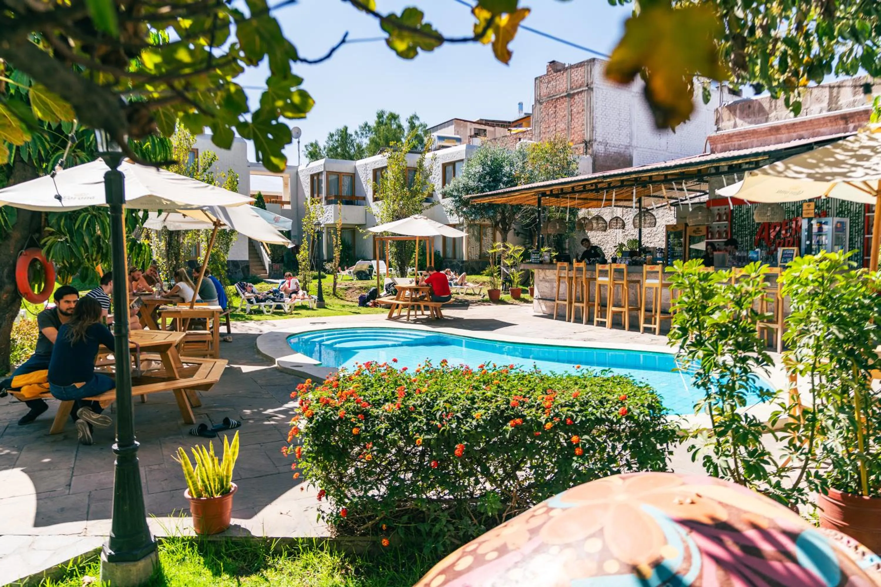Swimming Pool in Selina Arequipa