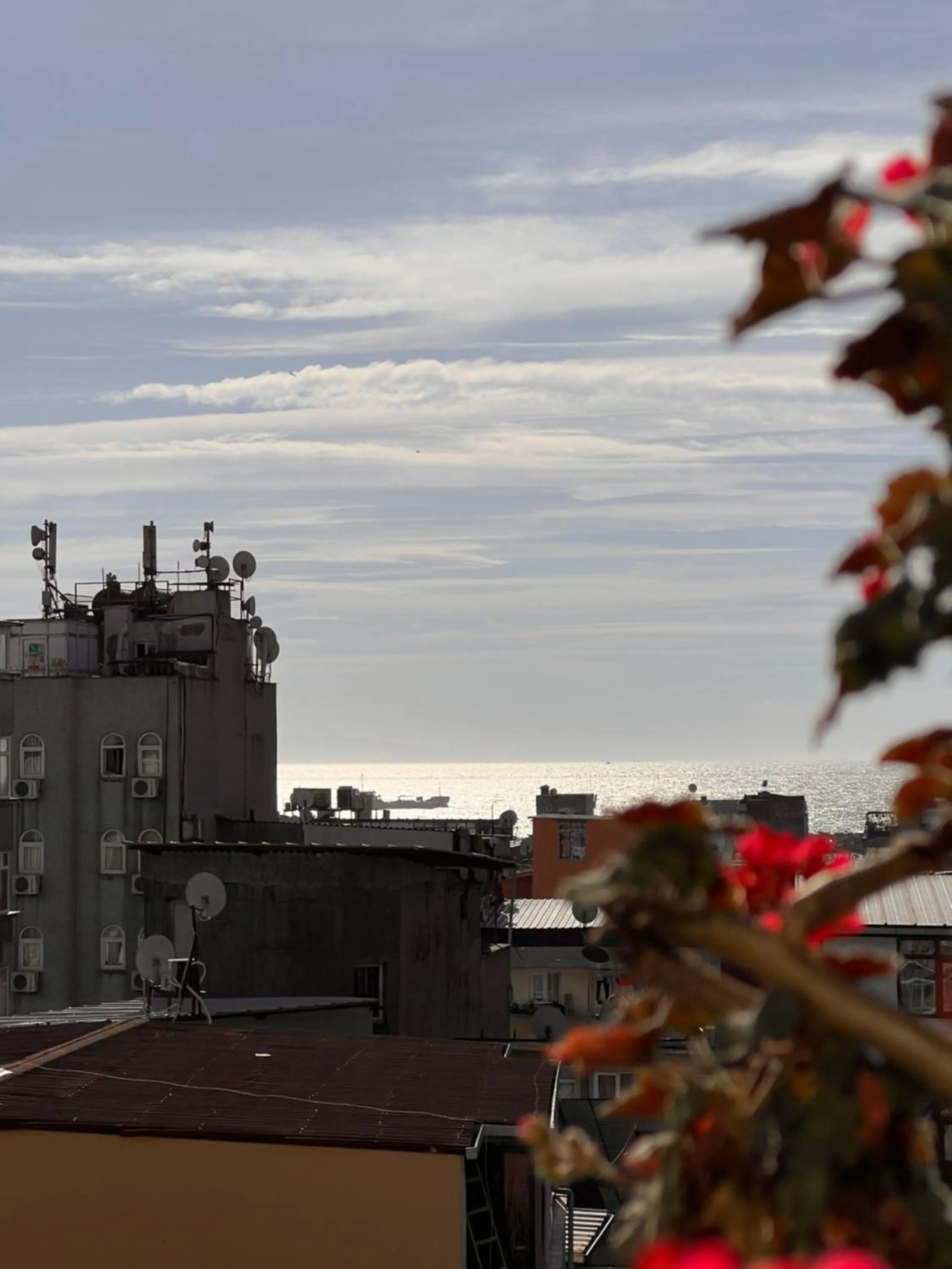 Sea view in Sami hotel