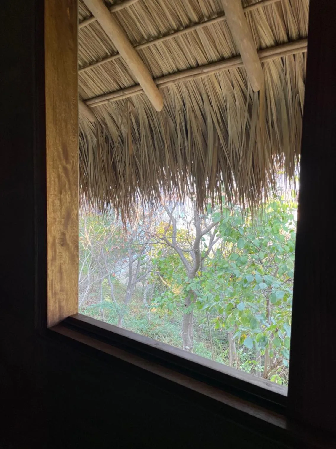 Natural landscape in COCOS HOTEL