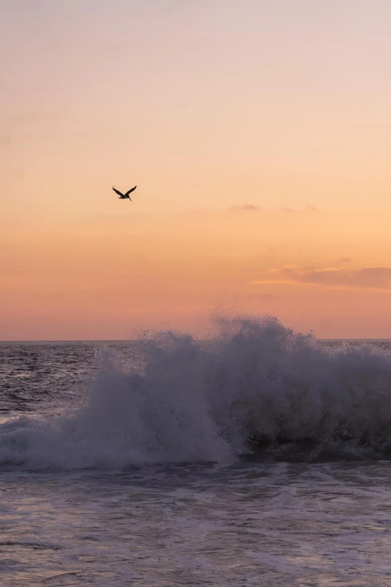 Beach in COCOS HOTEL