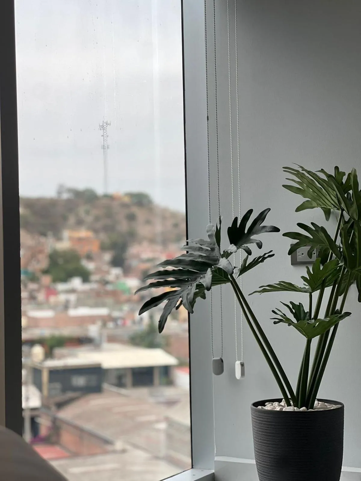 View (from property/room) in Hotel GRALTA