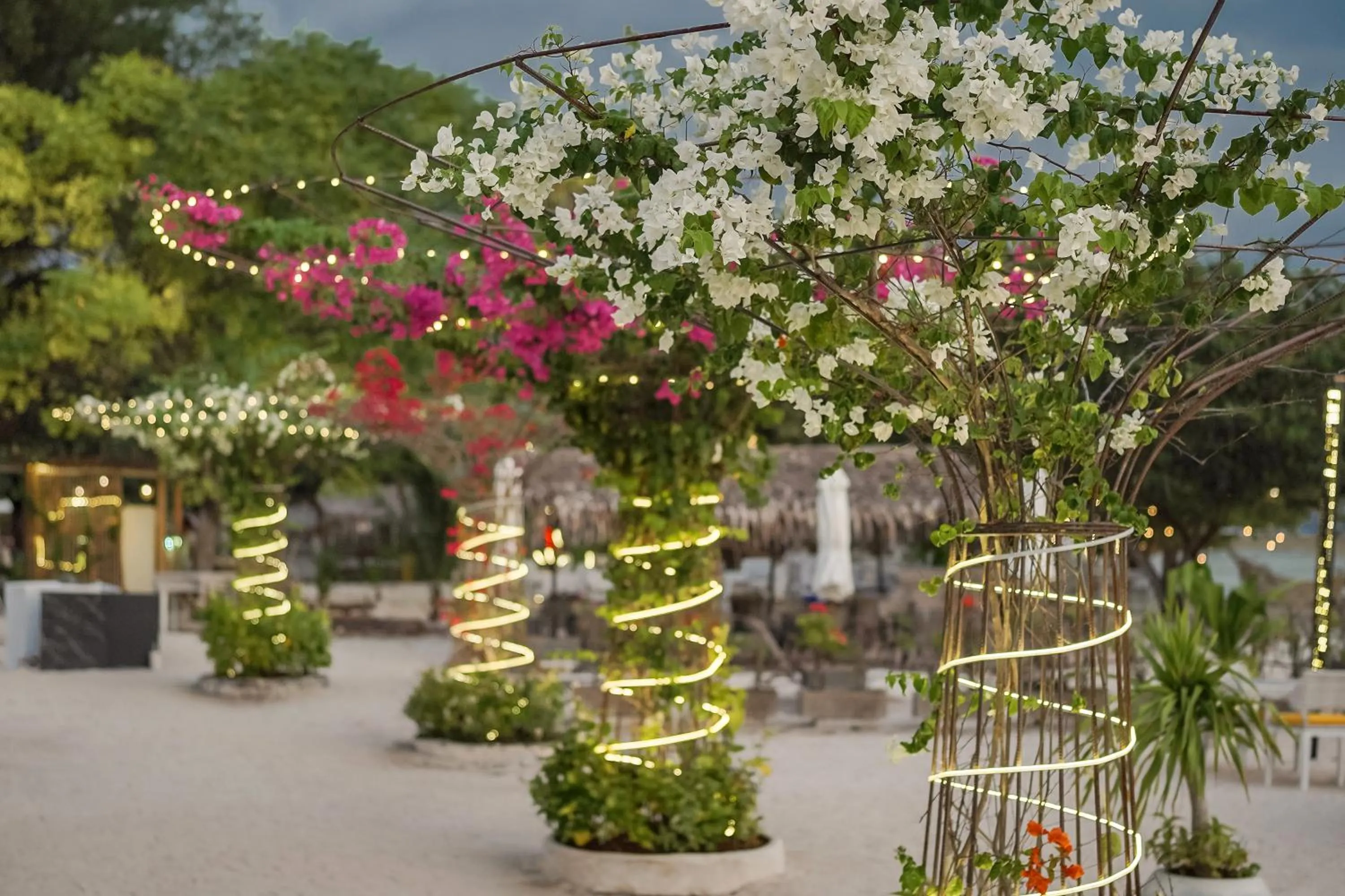 Beach in Pearl Sunset Resort - Sunset Moments, Adults Only