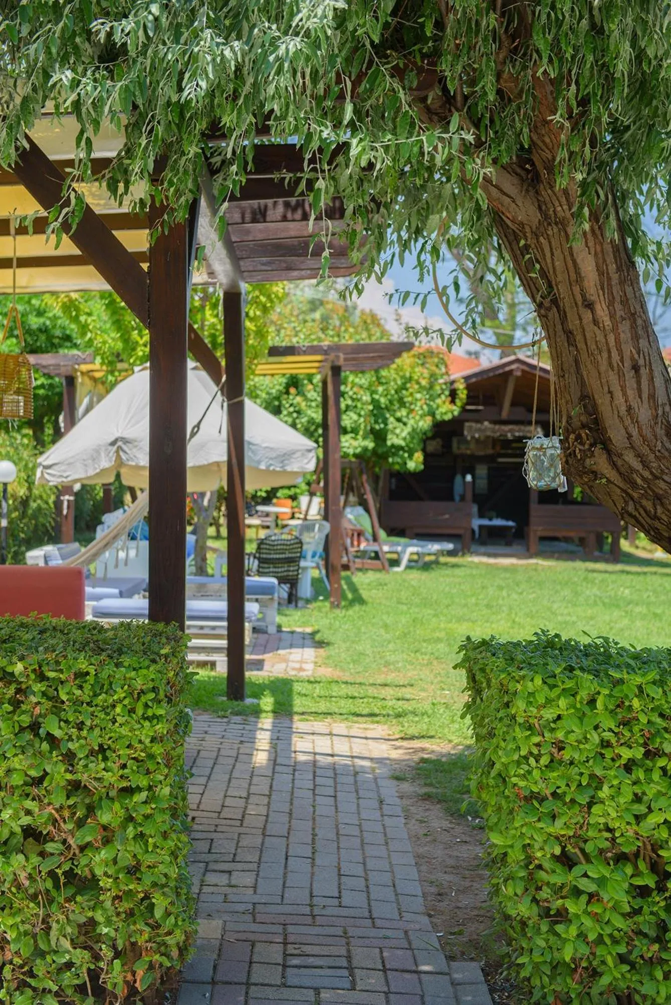Garden in Hotel Papanikolaou