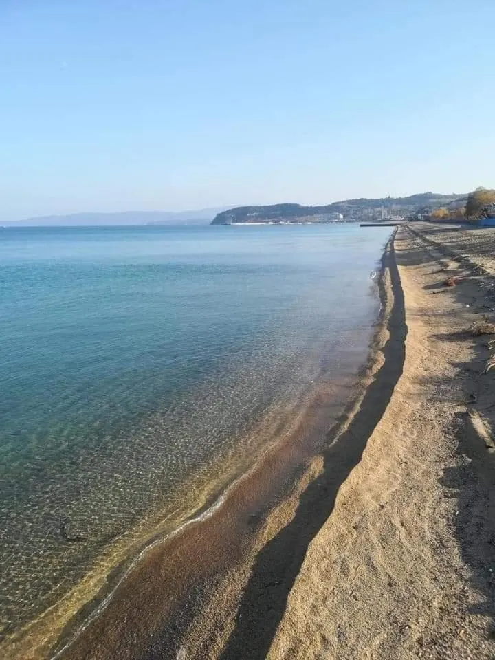 Beach in Hotel Papanikolaou