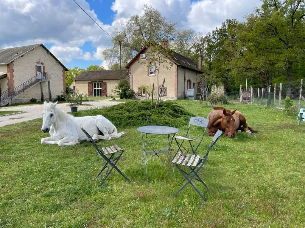 View (from property/room) in Gîte à la campagne 1 chambre Les Grandes Maisons Espace jacuzzi hammam SPA