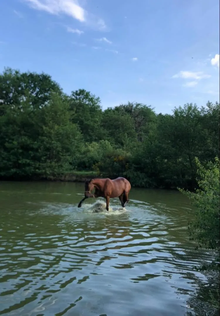 Fishing in Gîte à la campagne 1 chambre Les Grandes Maisons Espace jacuzzi hammam SPA