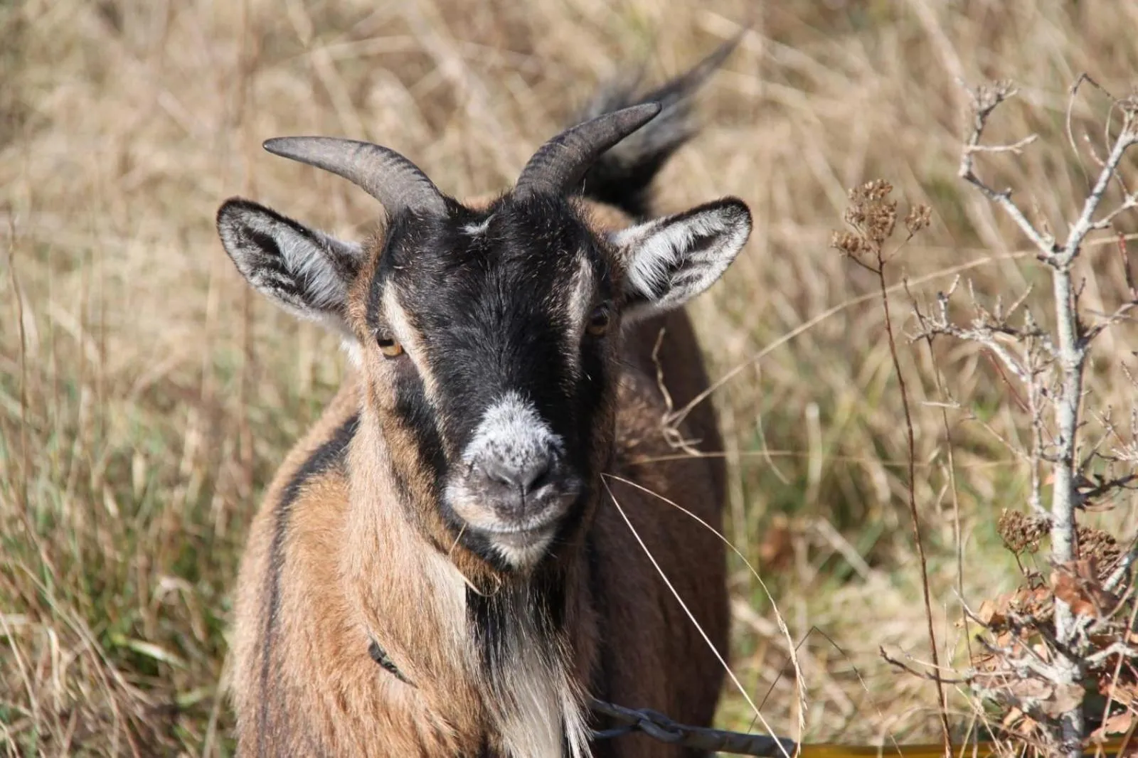 Gîte à la campagne 1 chambre Les Grandes Maisons Espace jacuzzi hammam SPA
