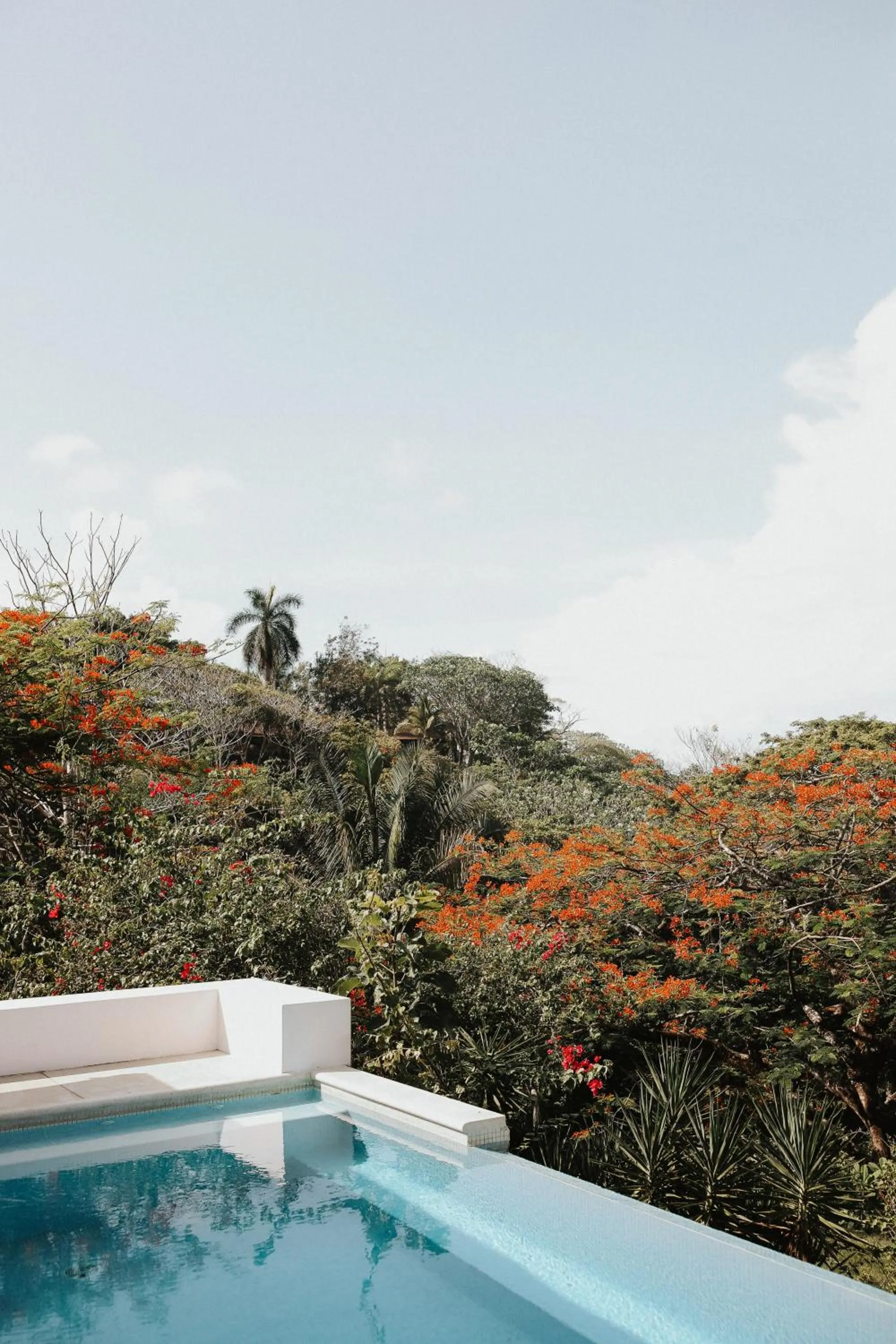 Pool view in Salvatierra Beachfront Hotel